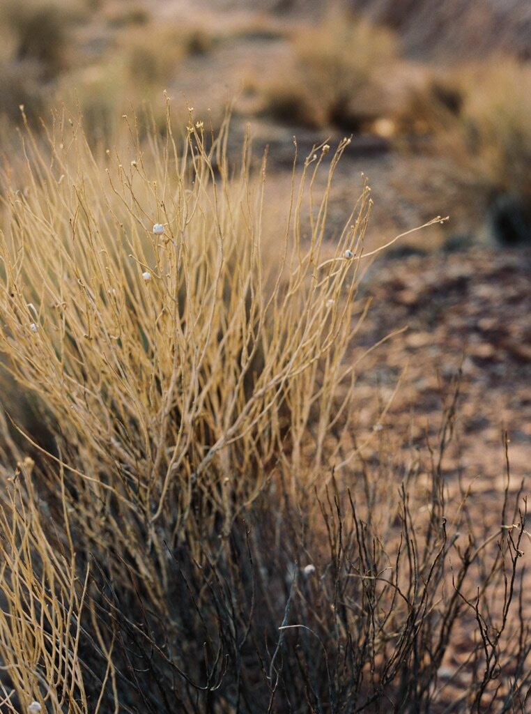 utah-desert-elopement-inspiration_121.jpg