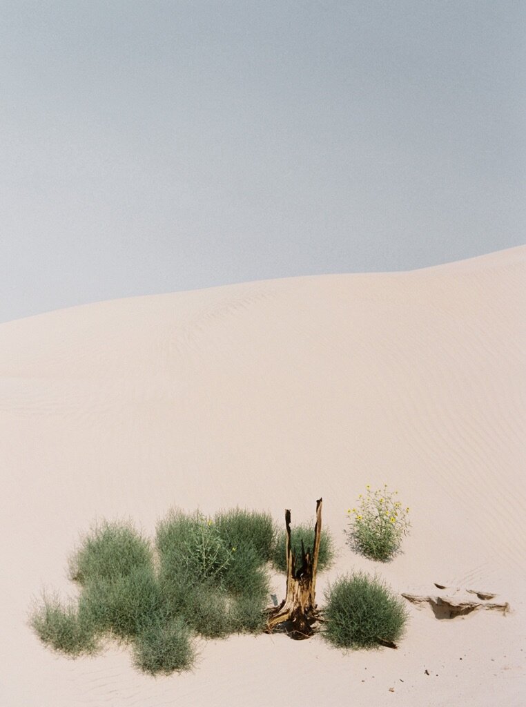 utah-desert-elopement-inspiration_039.jpg