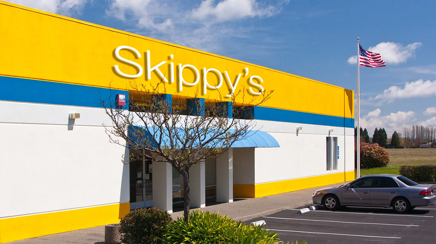 skippys_new_paint_MG_4346-Edit.jpg