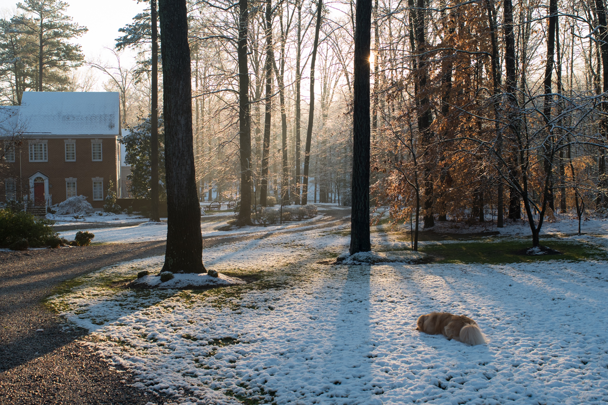 Lillie Had Never Seen Snow Before