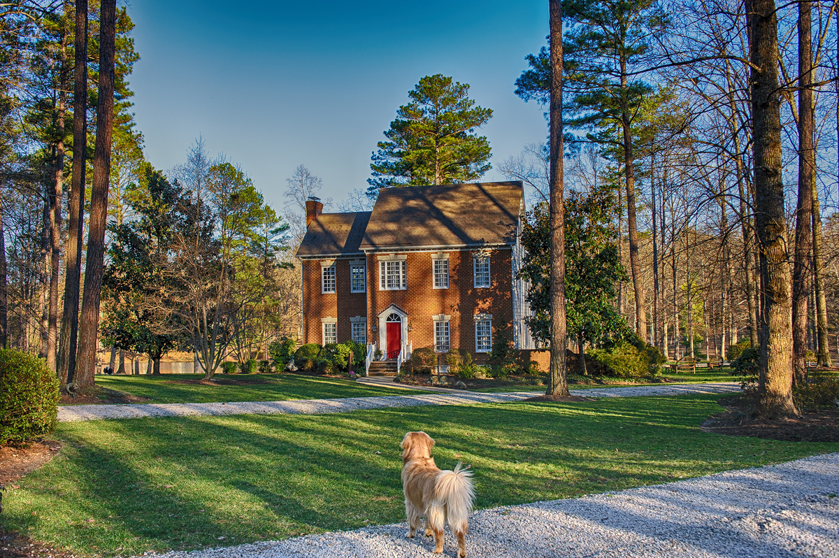 Lillie Mae At Home