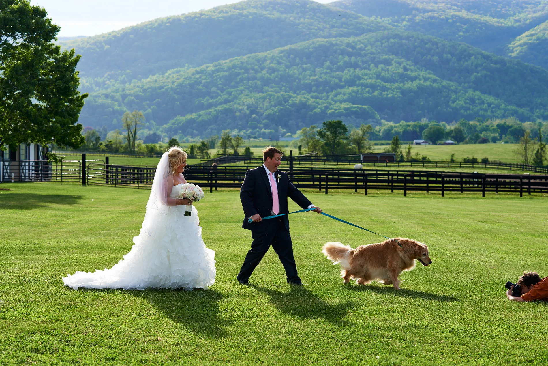 That is not our dog!