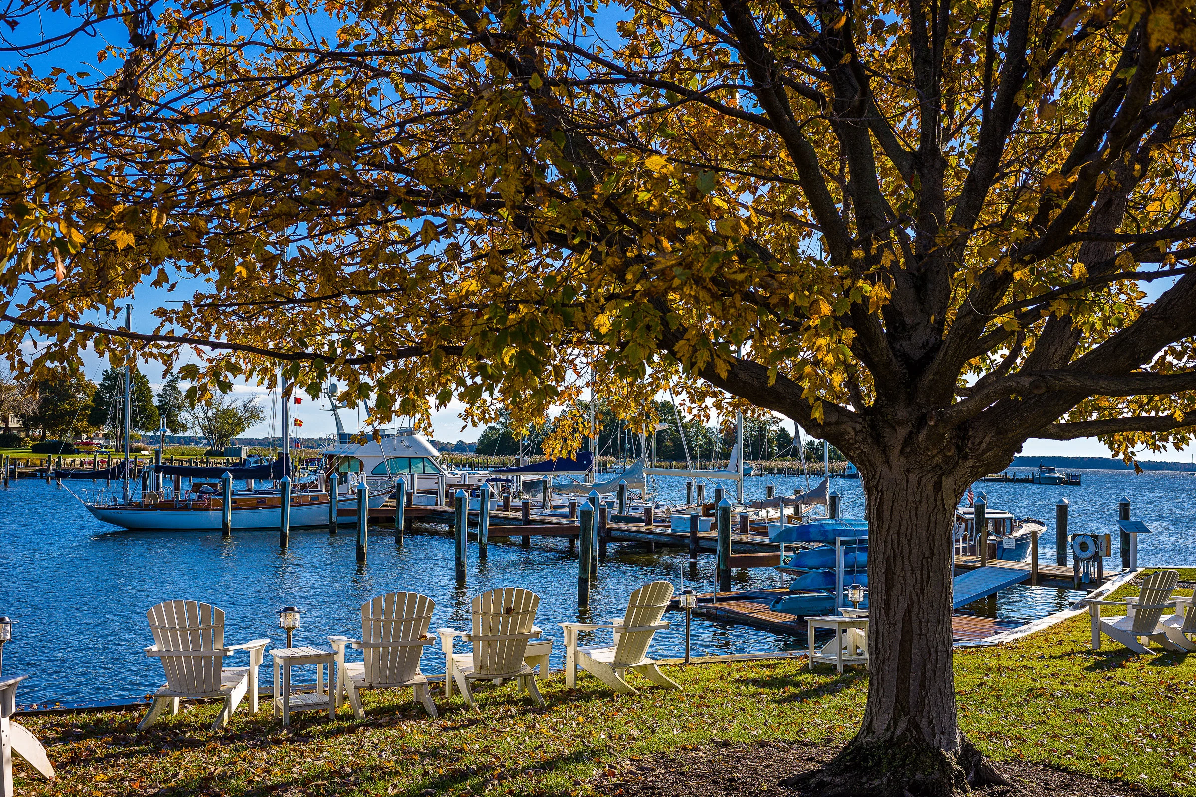 Chesapeake Bay