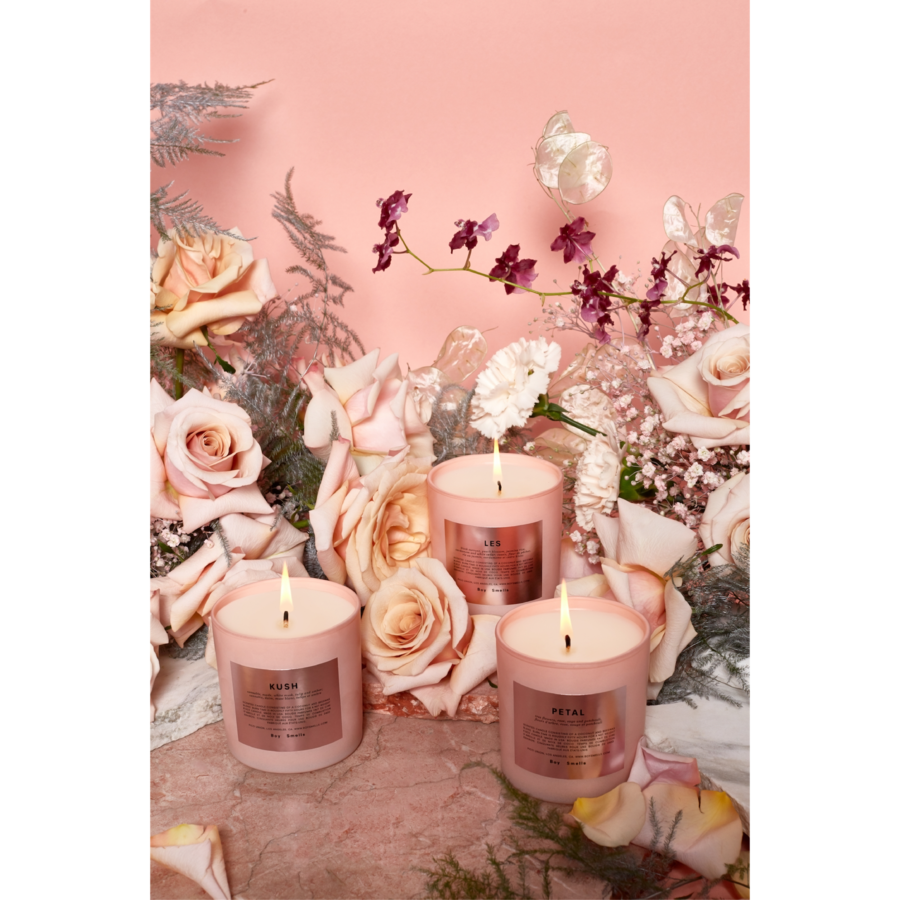 VPRODUCT_EDITORIAL_2-01_900x.png