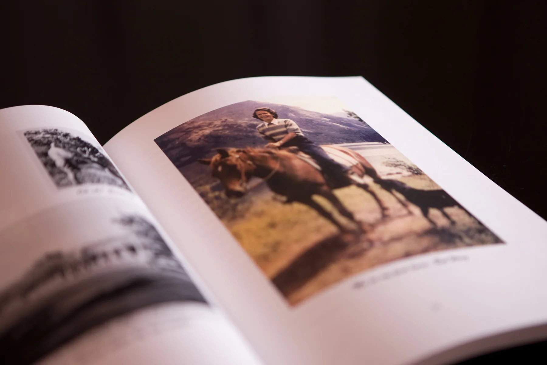 Book Design - Book Designer - Parke Book Creation