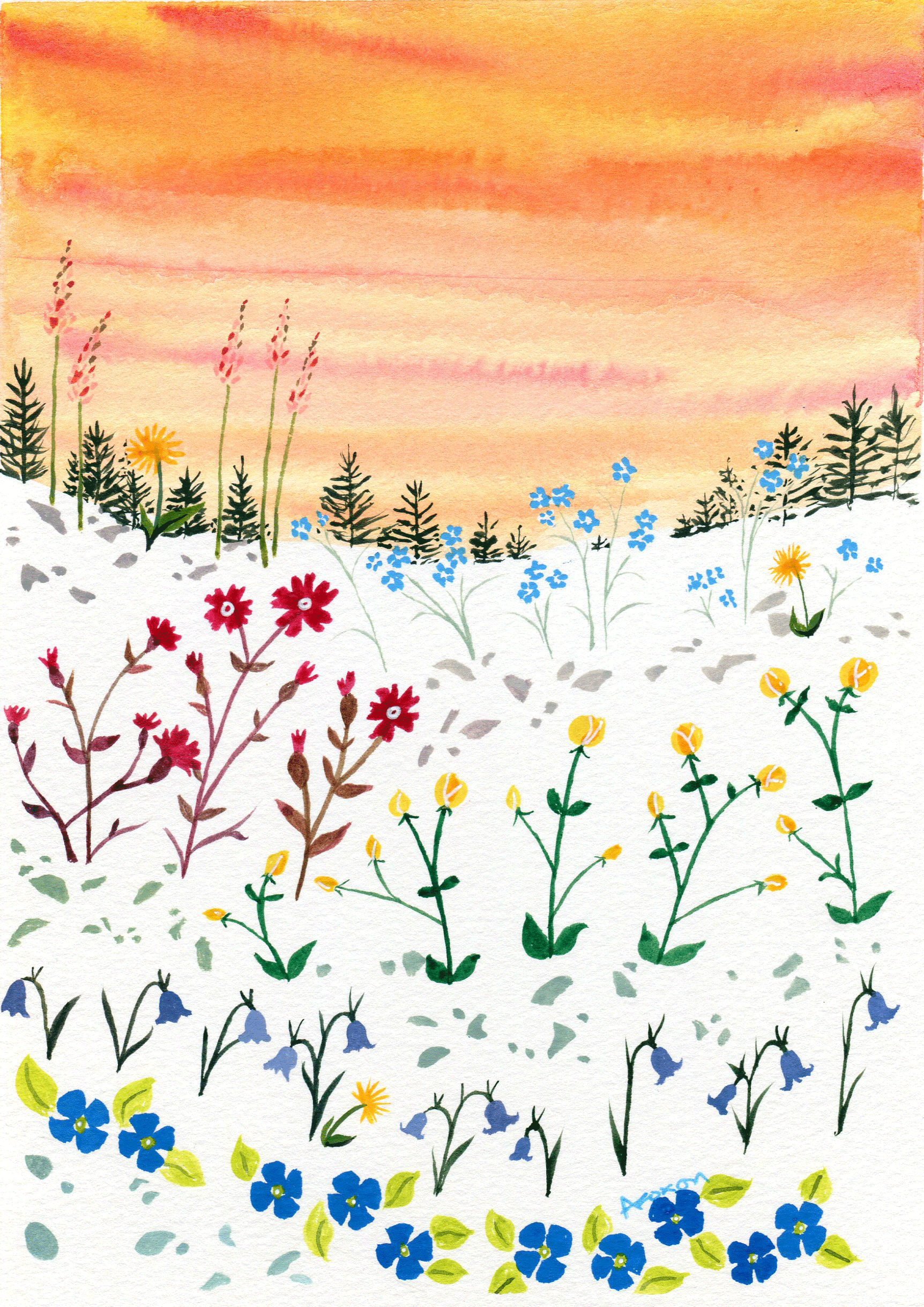 'Alpine sunset' A colourful, delicate and contemporary painting of a Swiss alpine meadow. Watercolour; 14x20cm The original painting is for sale at £110 including mount and UK postage. Limited edition giclée prints are available. For further details of how to order please click here .