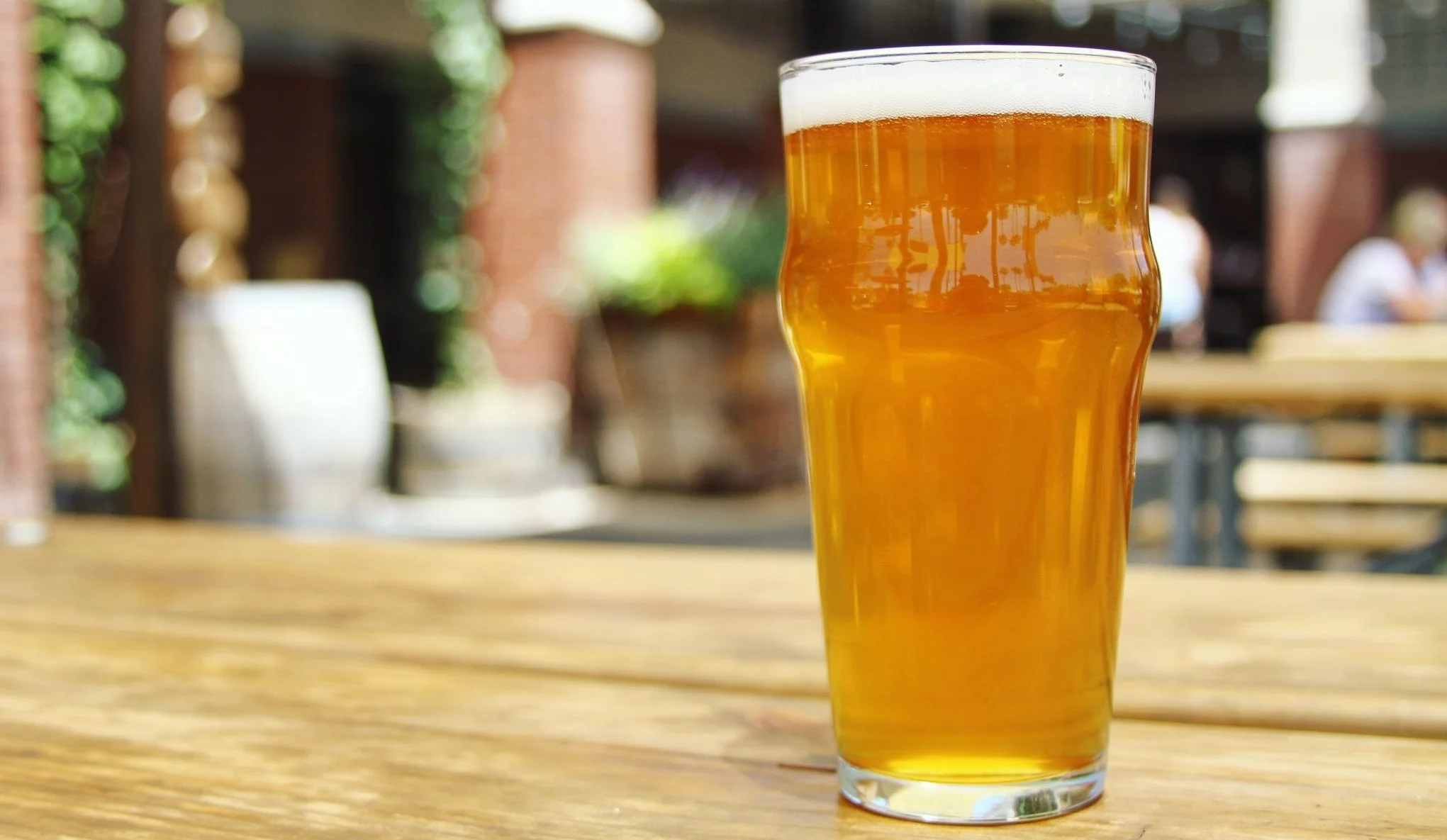 Buy-Arizona-Wilderness-Brewing-Co.-Refuge-IPA-Online.jpg