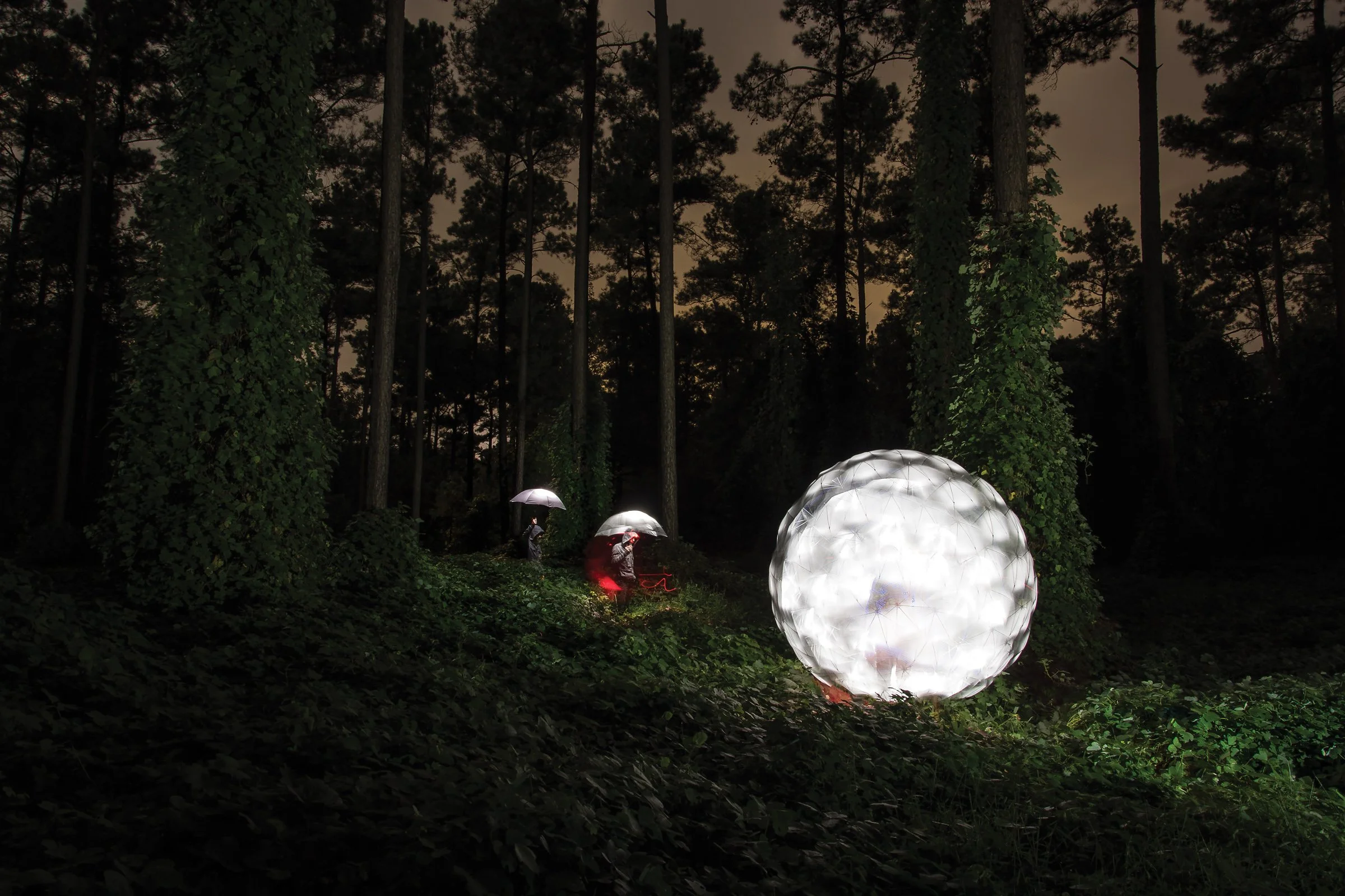 People walking in a dark, forested area at night, holding illuminated umbrellas and a glowing, spherical art installation on the ground.