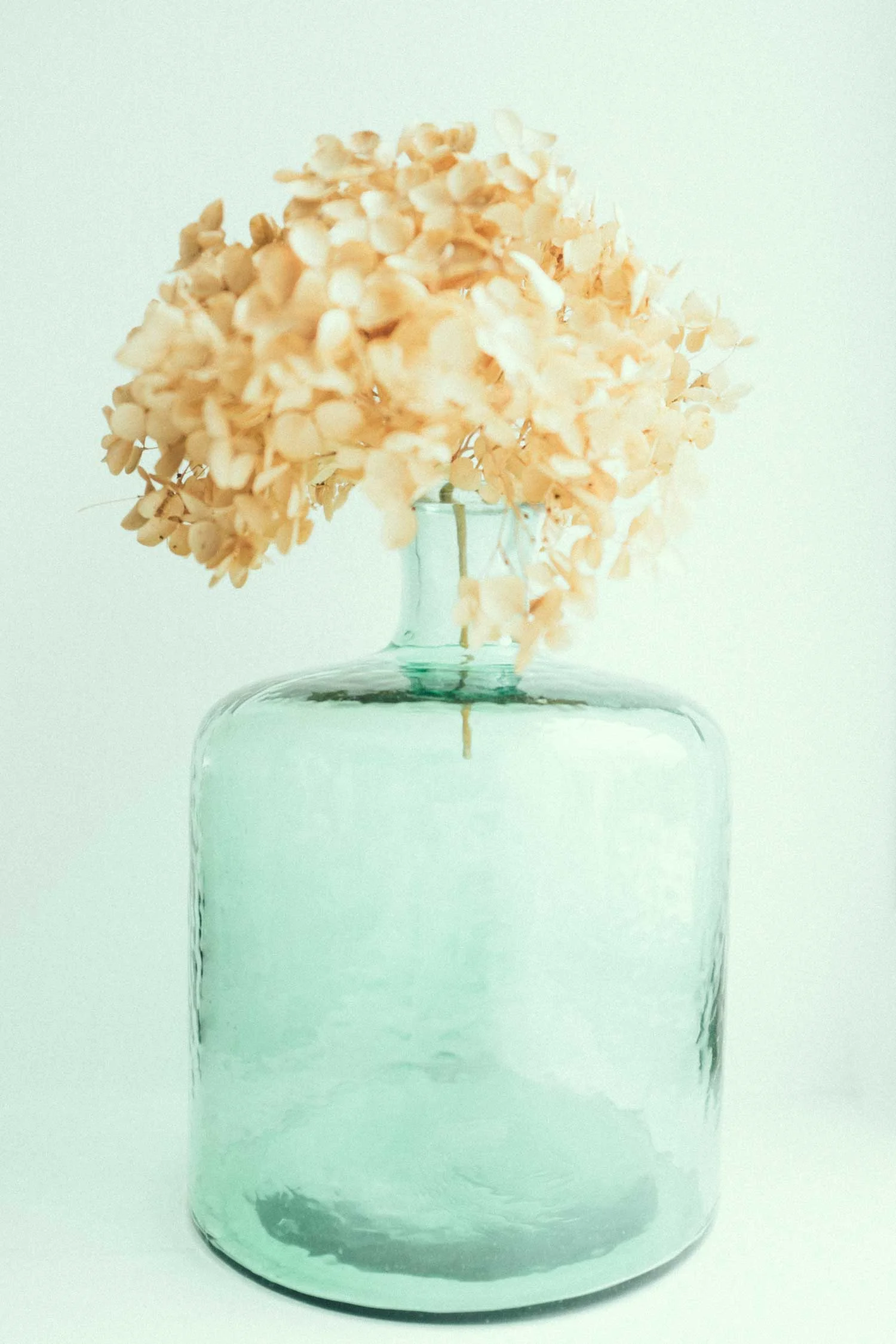 Blue+Jug.jpg
