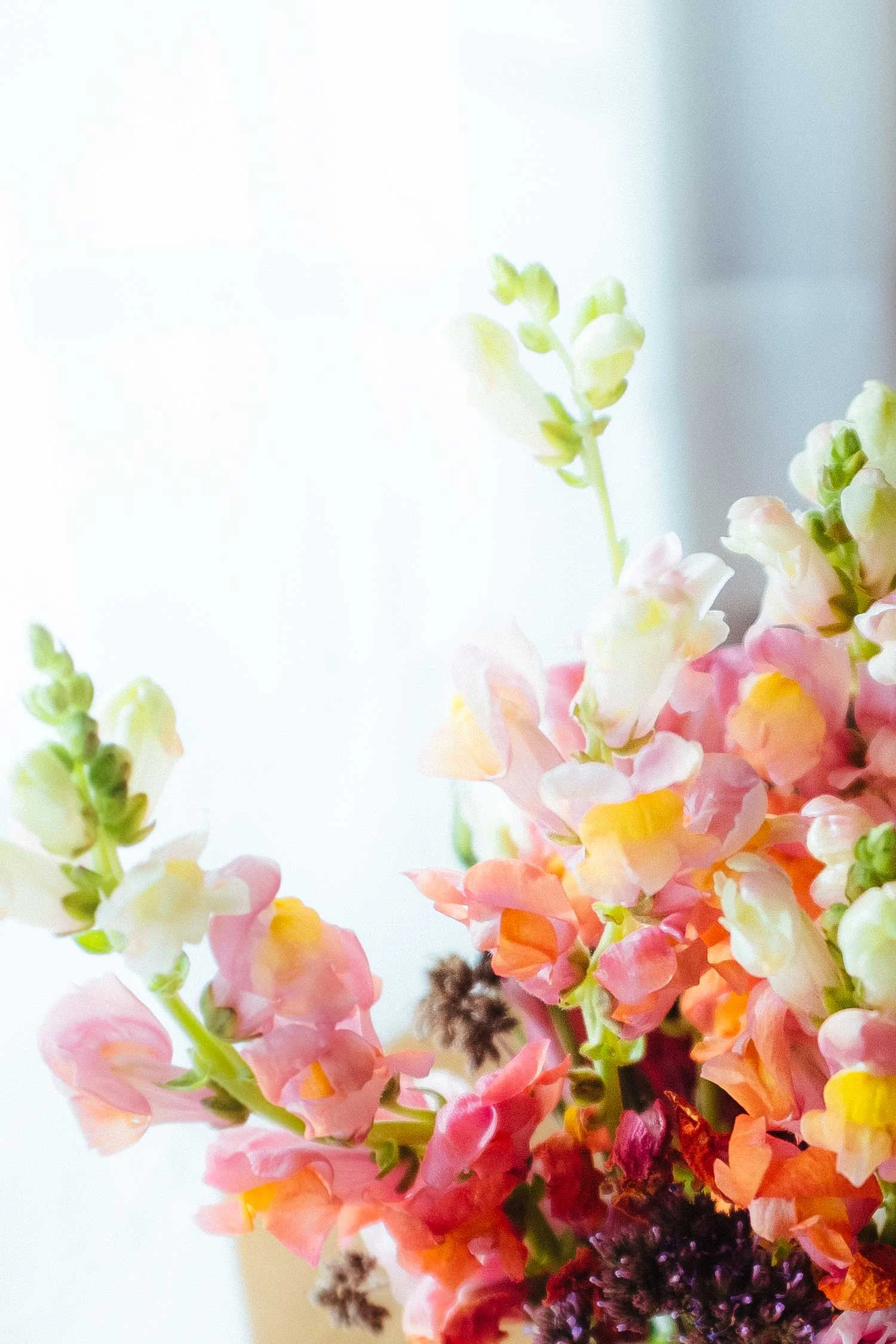 Spring+Flowers.jpg