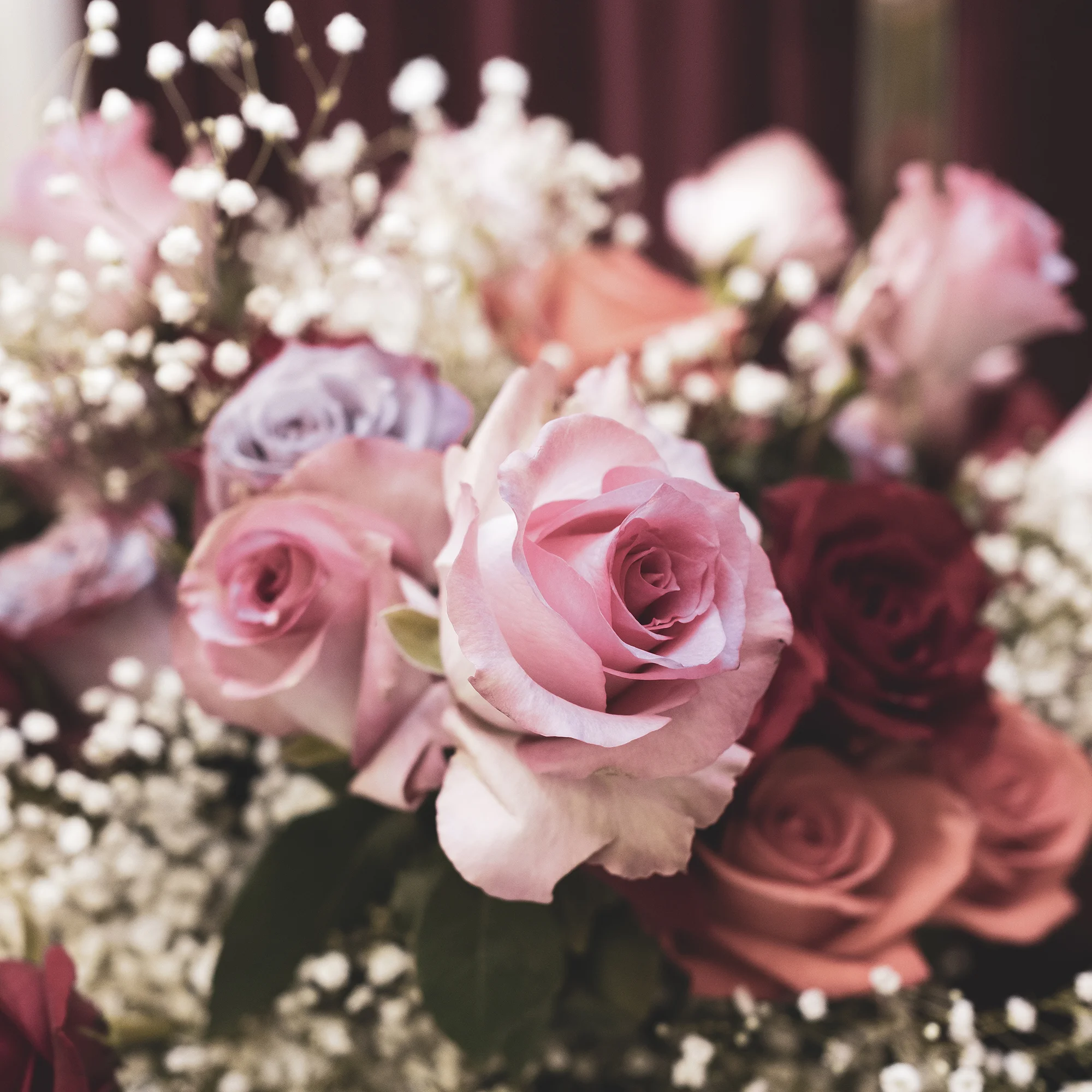 DSCF3933.JPG