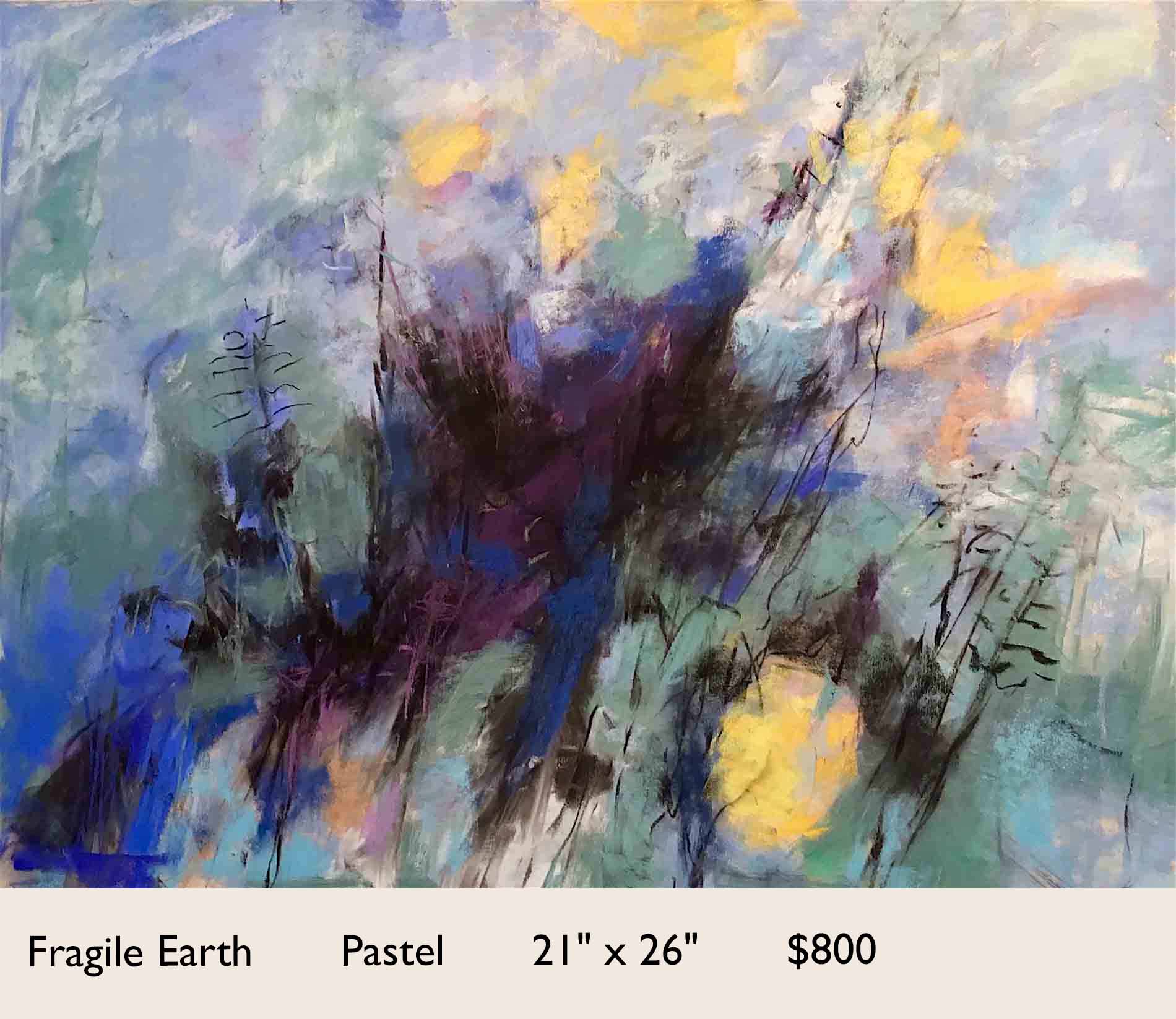 Fragile Earth