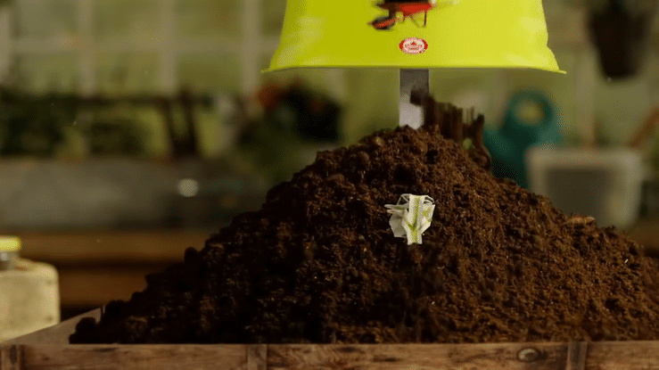 Miracle Gro Nature's Care - Organic Adventure-high.gif