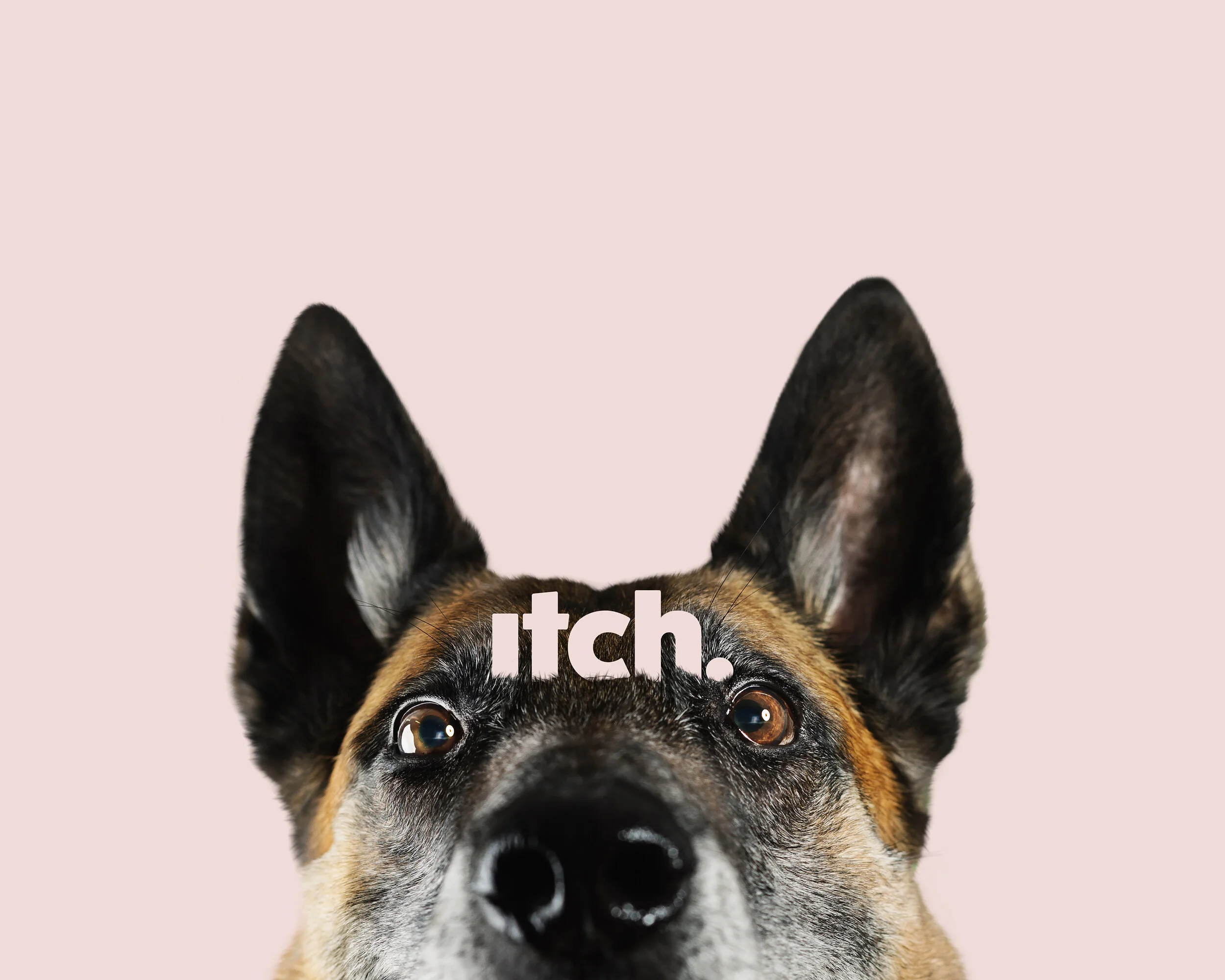 iStock-618344726_SIMPLIFIED.jpg