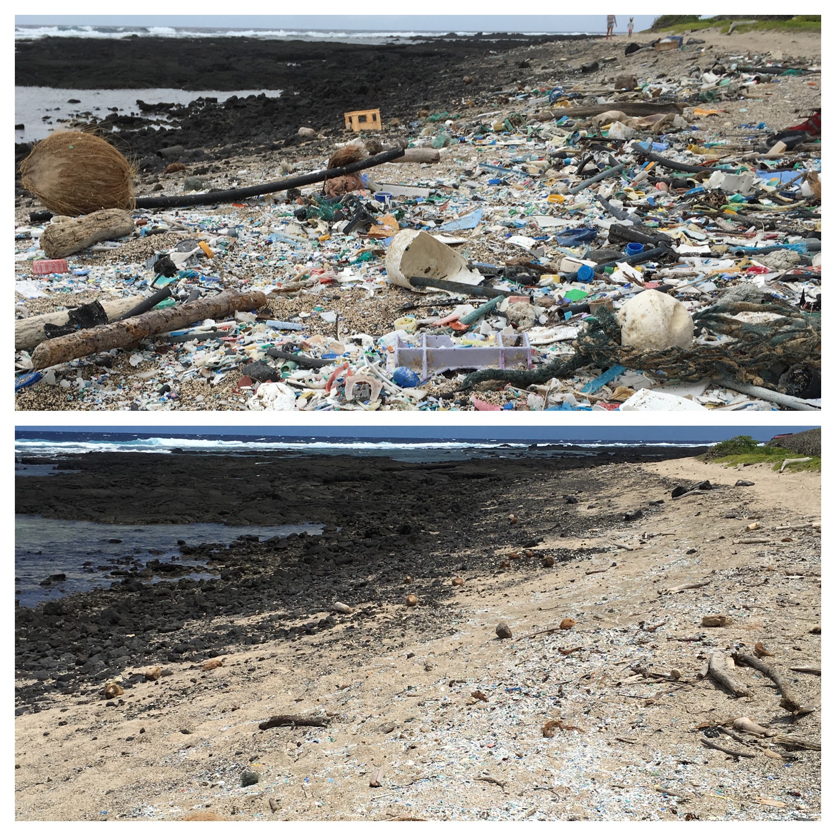 Before and after photo that I took during one of Hawaii Wildlife Fund's cleanup events.