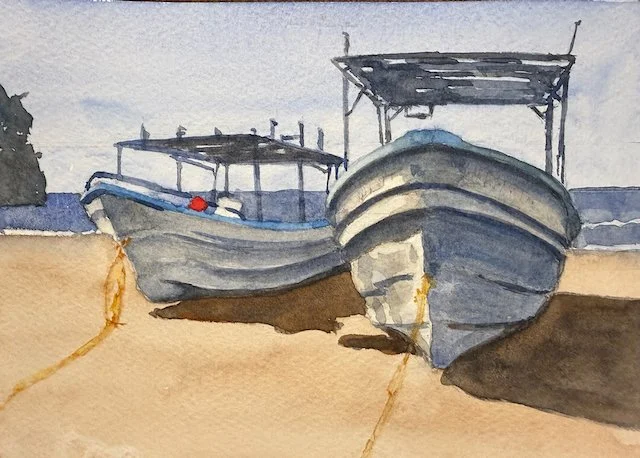 FISHING BOATS OF LO DE MARCOS, MEXICO