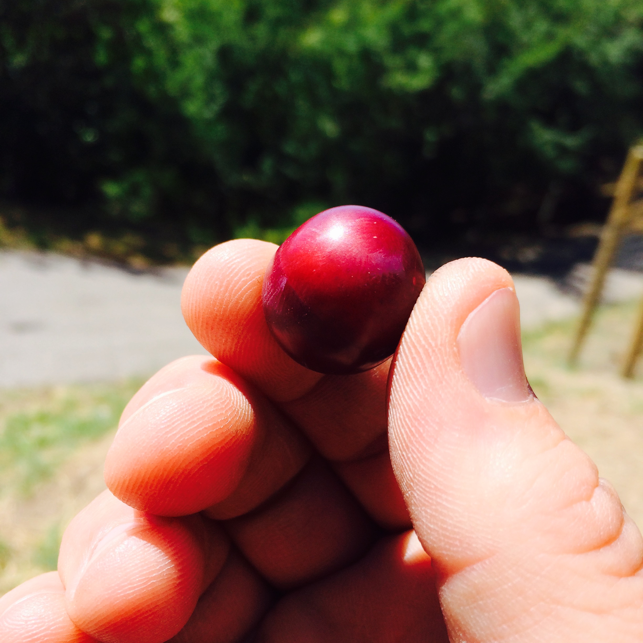 Photo May 23, 2 45 56 PM.jpg