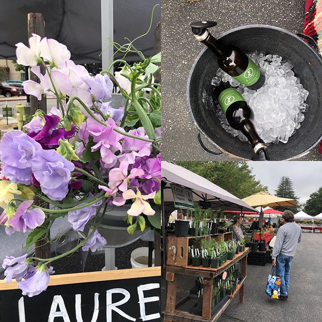 Back @santacruzfarmersmkts in @cityofscottsvalley with our #ciders and #fruitwine  Visit from 9-1 today at the end of Kings Village Road