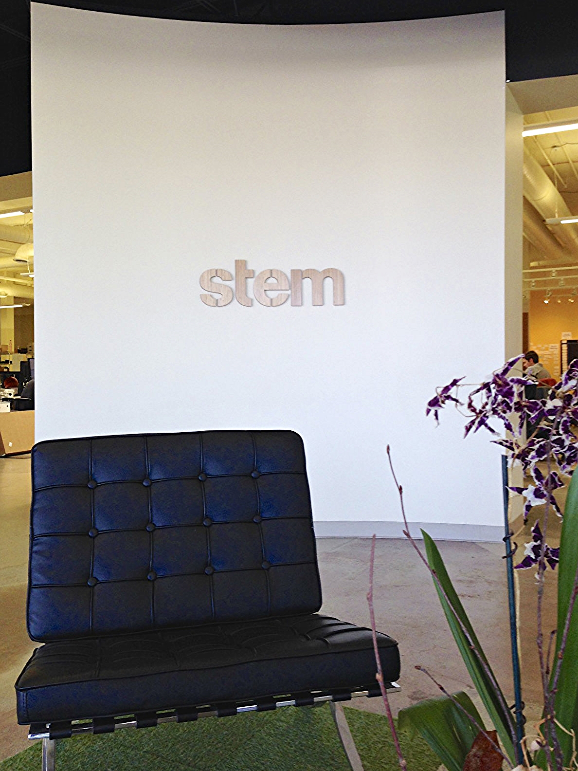 Stem
