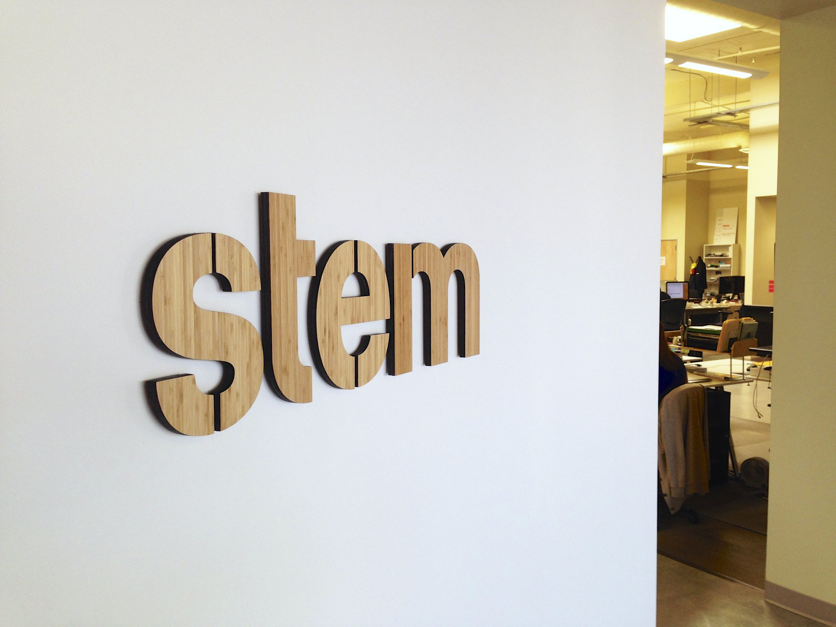 Stem