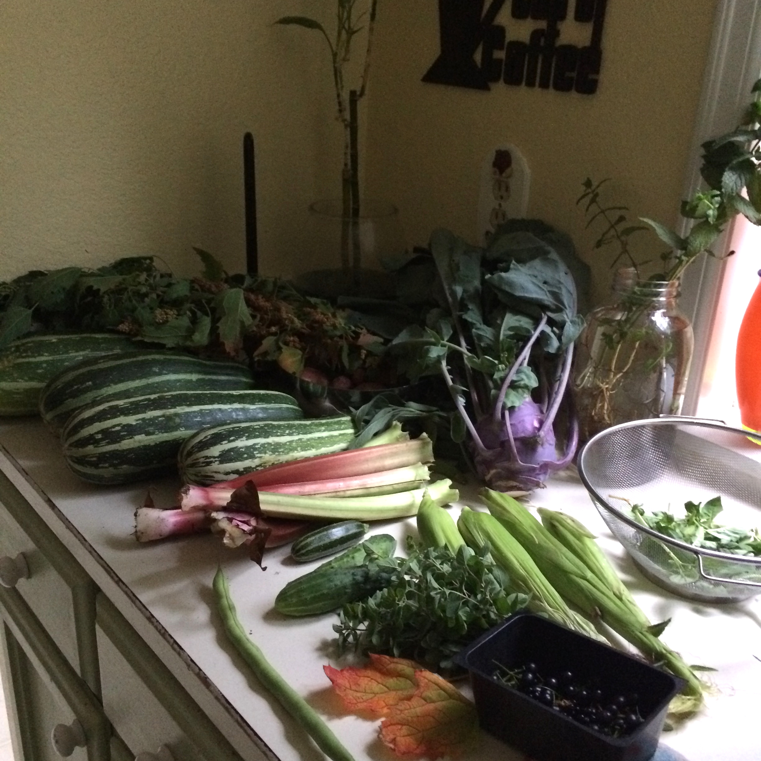 Our garden harvest. We have MEGA zucchinis! 