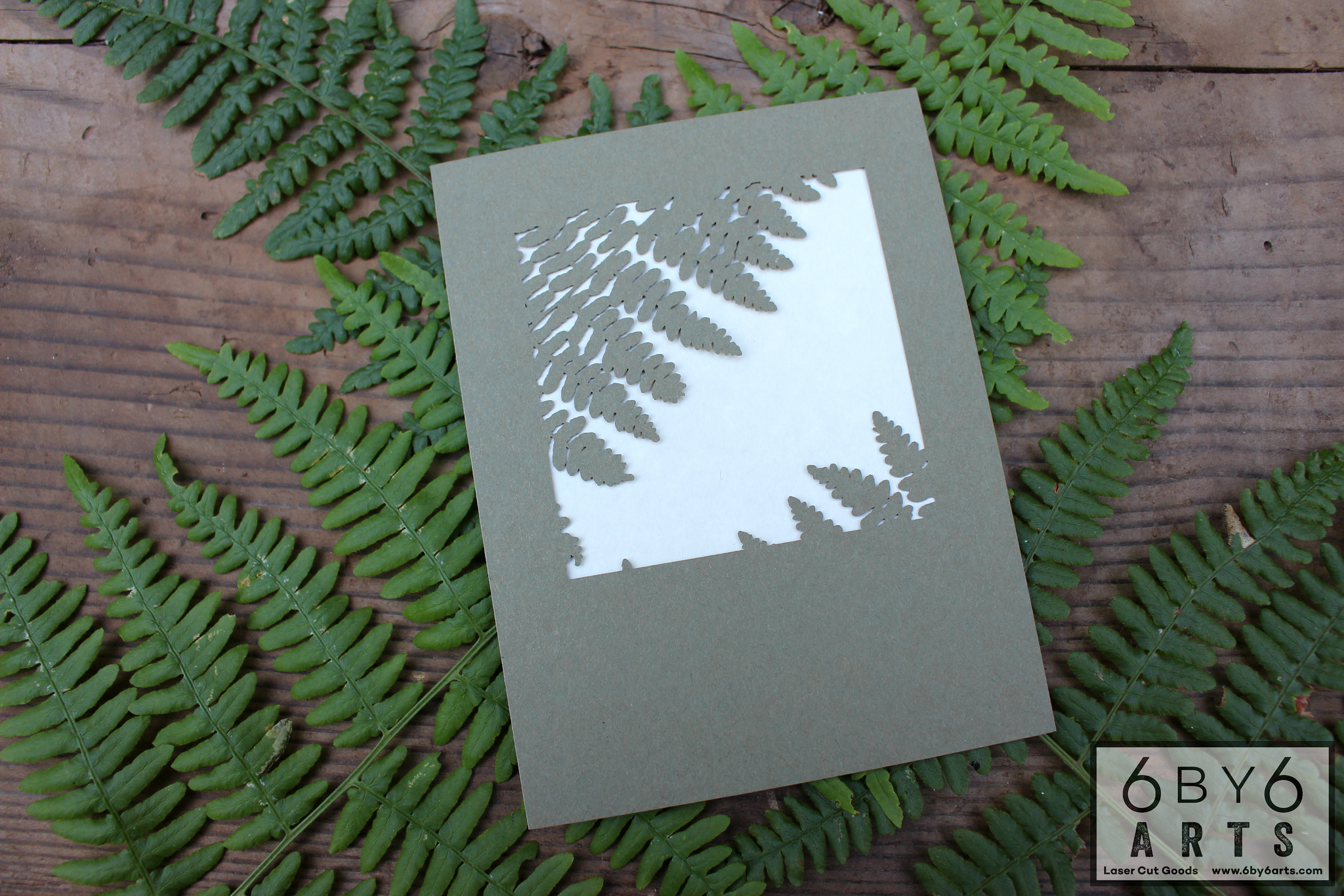 6 by 6 Arts - Lady Fern Cards 