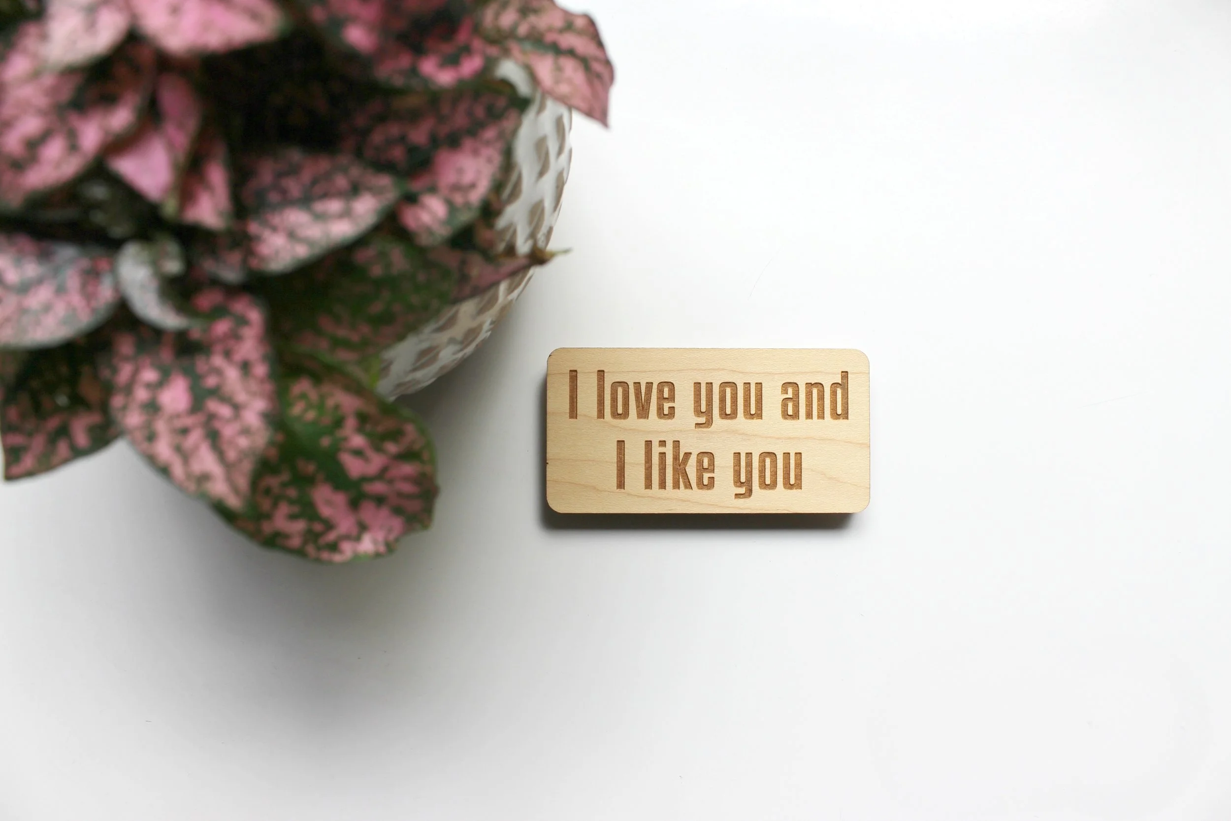 I love you and I like you | 6 by 6 Arts 