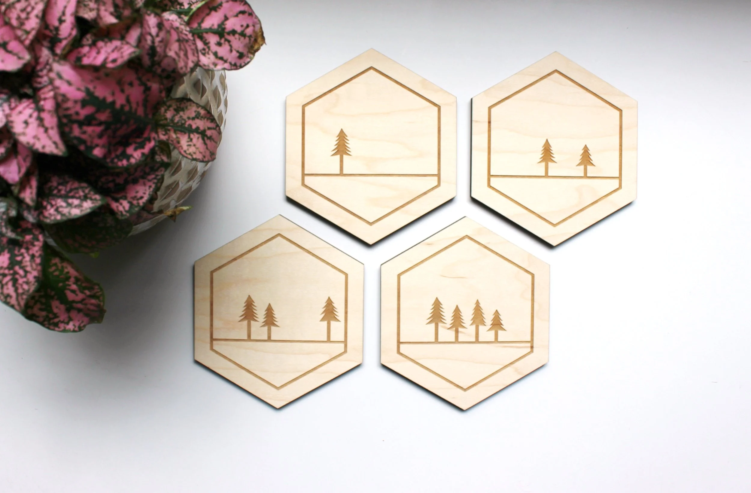 Coasters_IntoTheTrees_display.jpg
