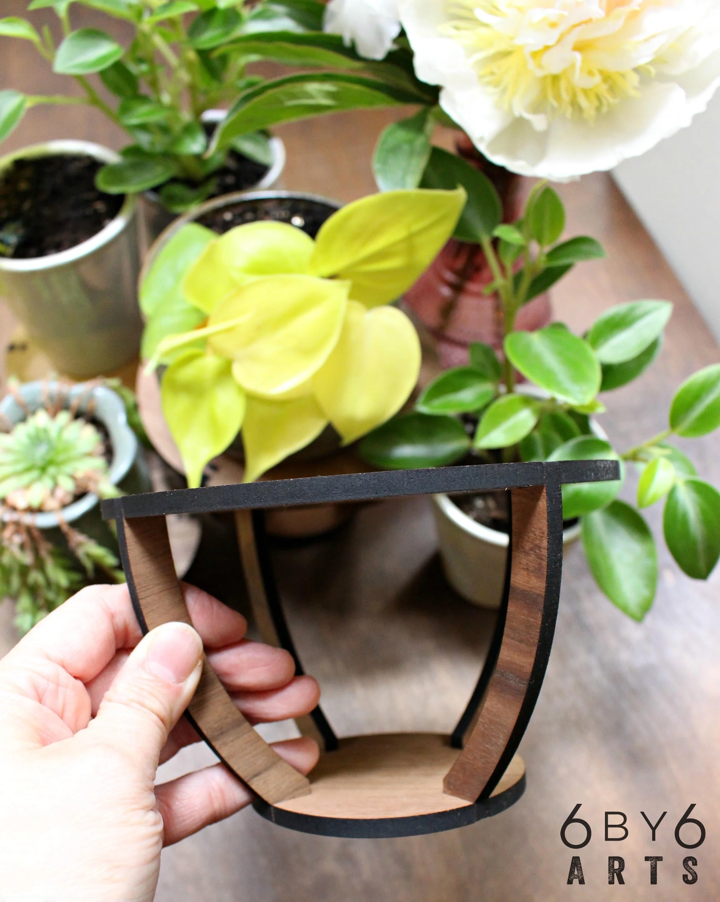 6 by 6 Arts Circular Walnut Wood Plant Stand