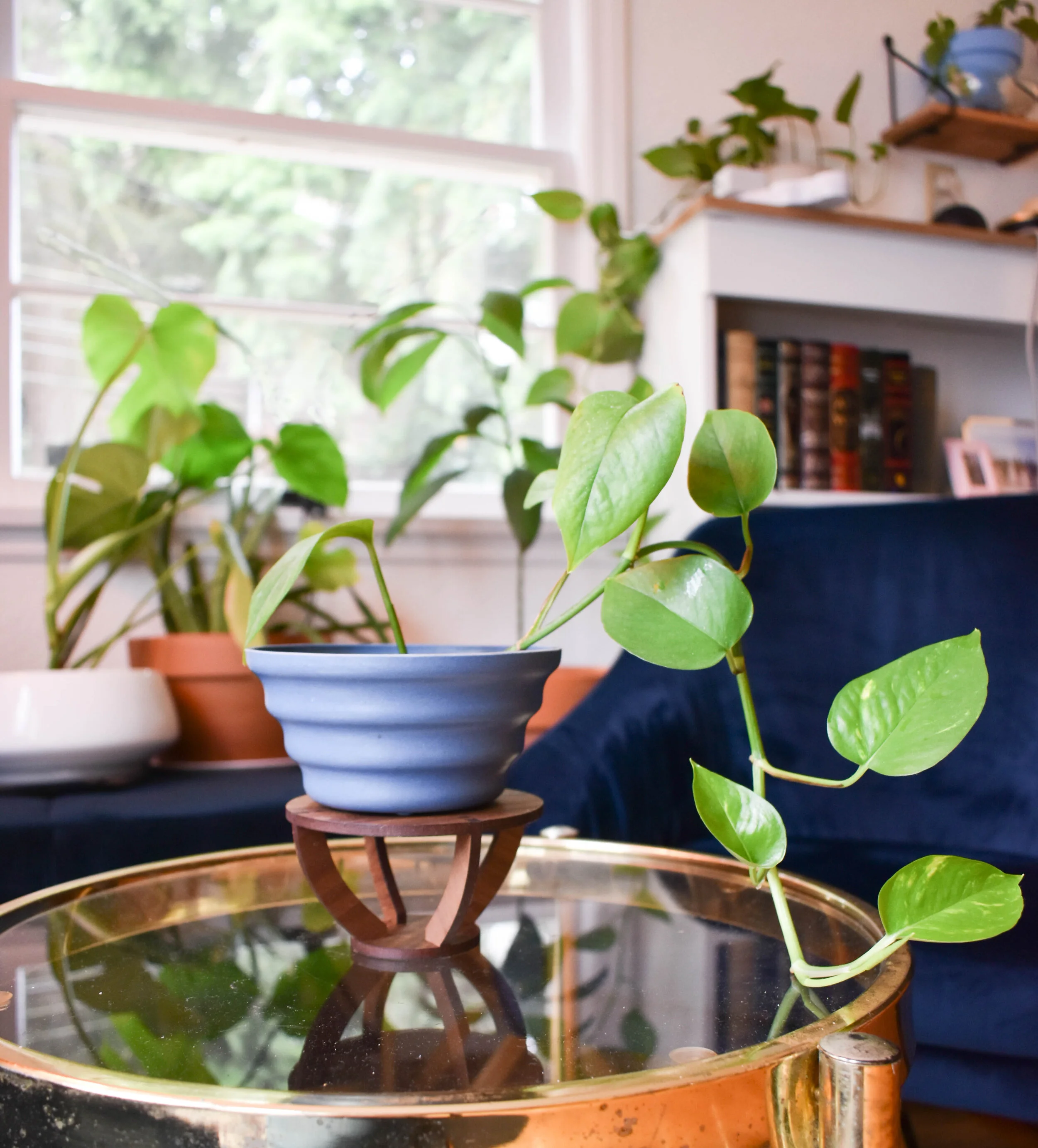 6 by 6 Arts Small Plant Stand IU.jpg