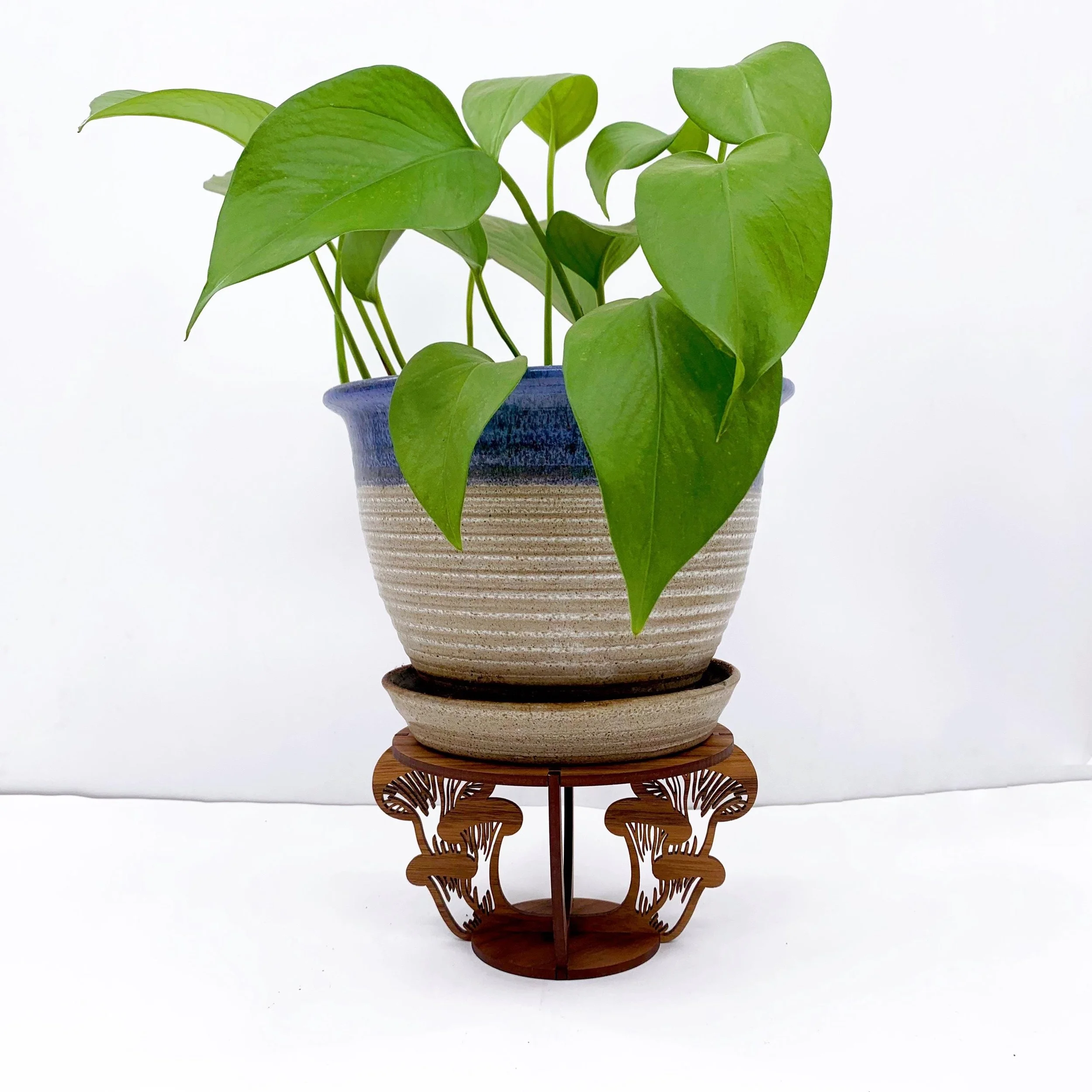 6 By 6 Arts Understory Mushrooms Indoor Plant Stand