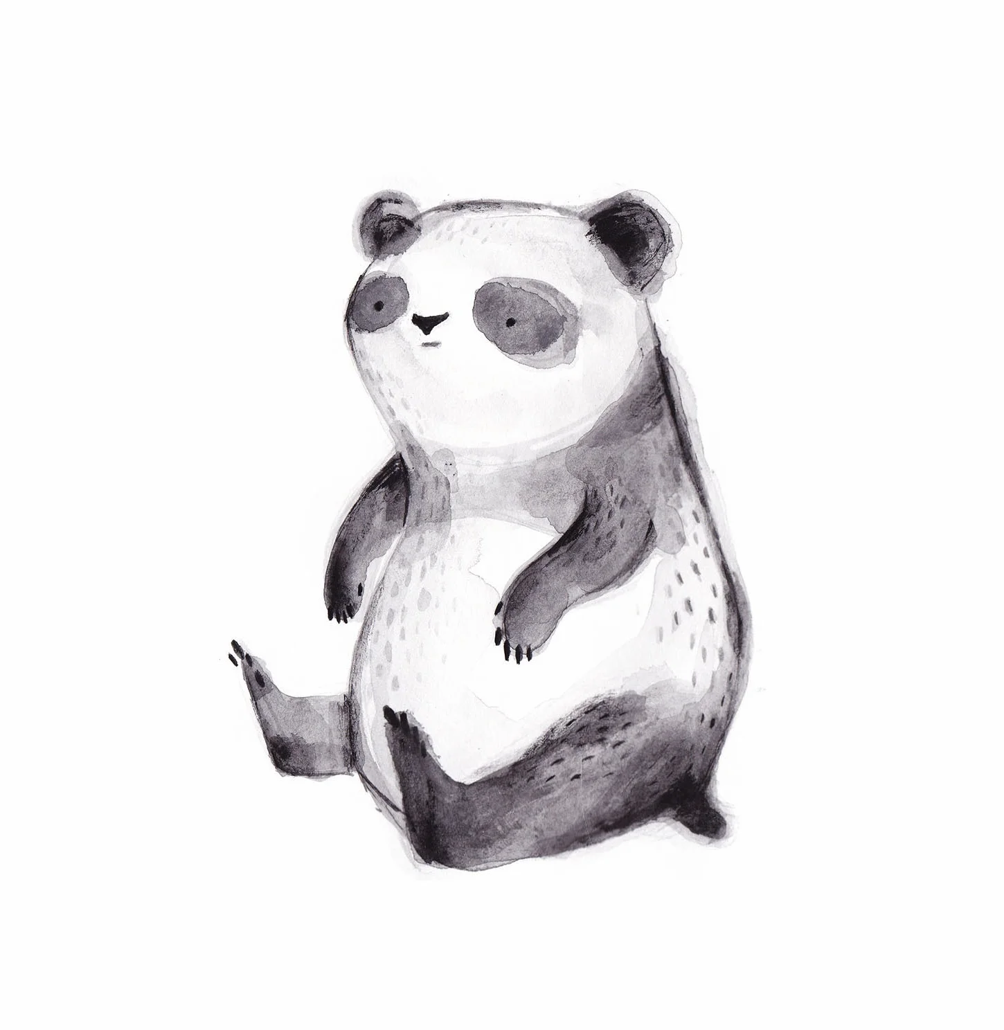 Panda.jpg