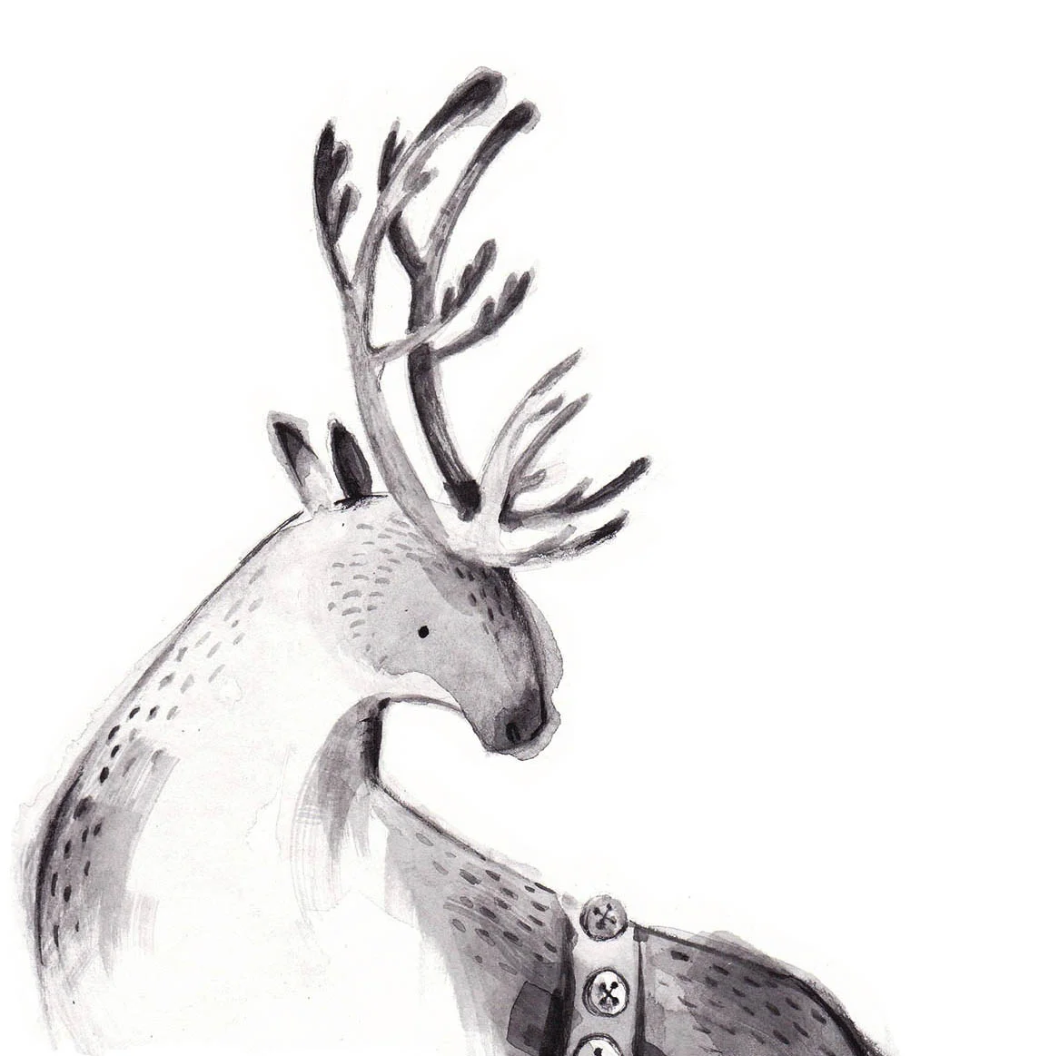 reindeer.jpg