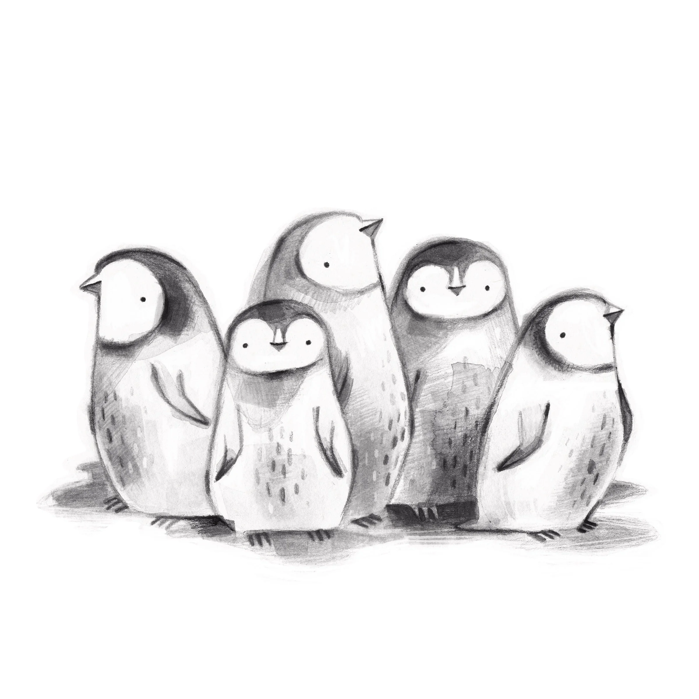 baby penguins.jpg