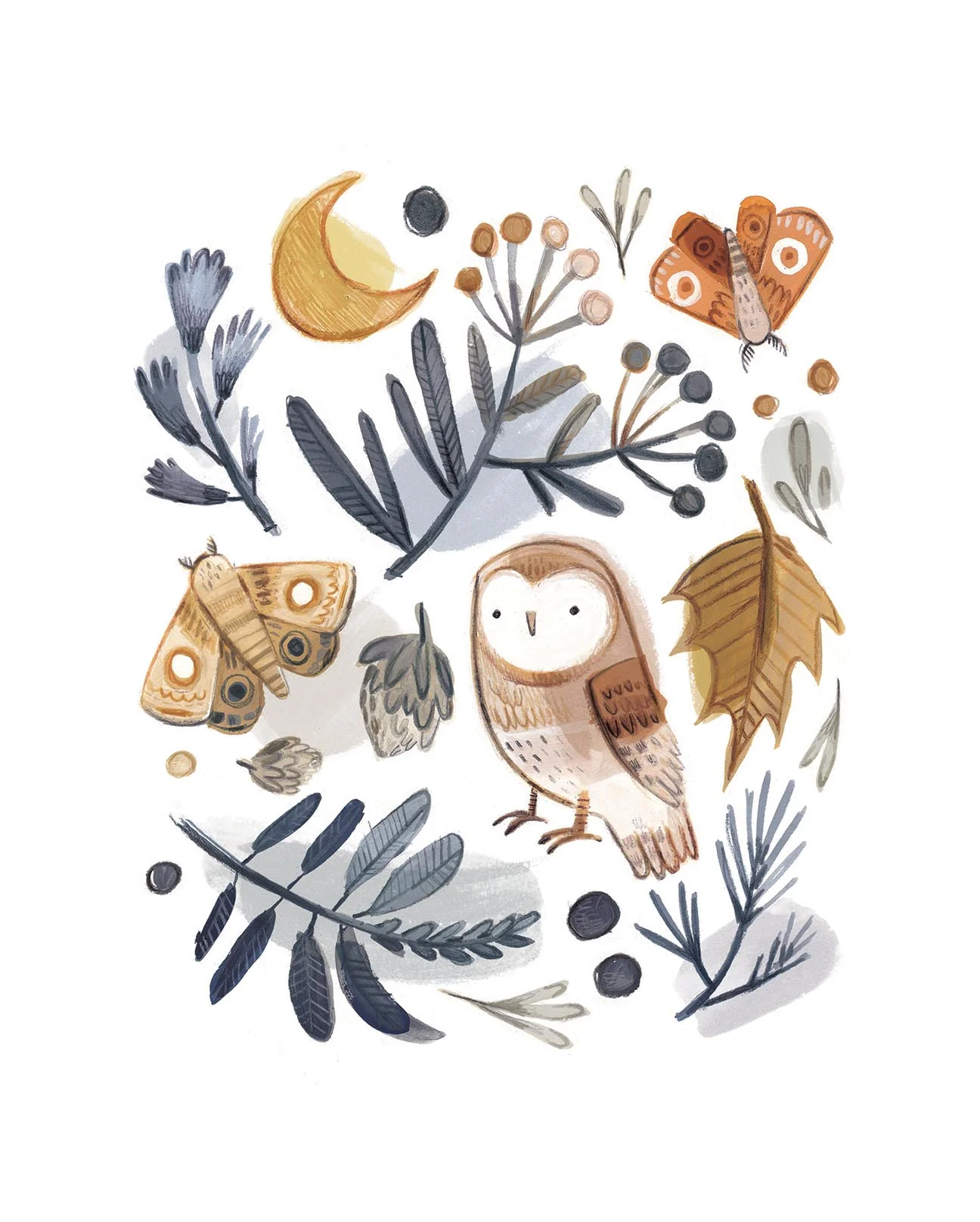 Owl and moth LR.jpg
