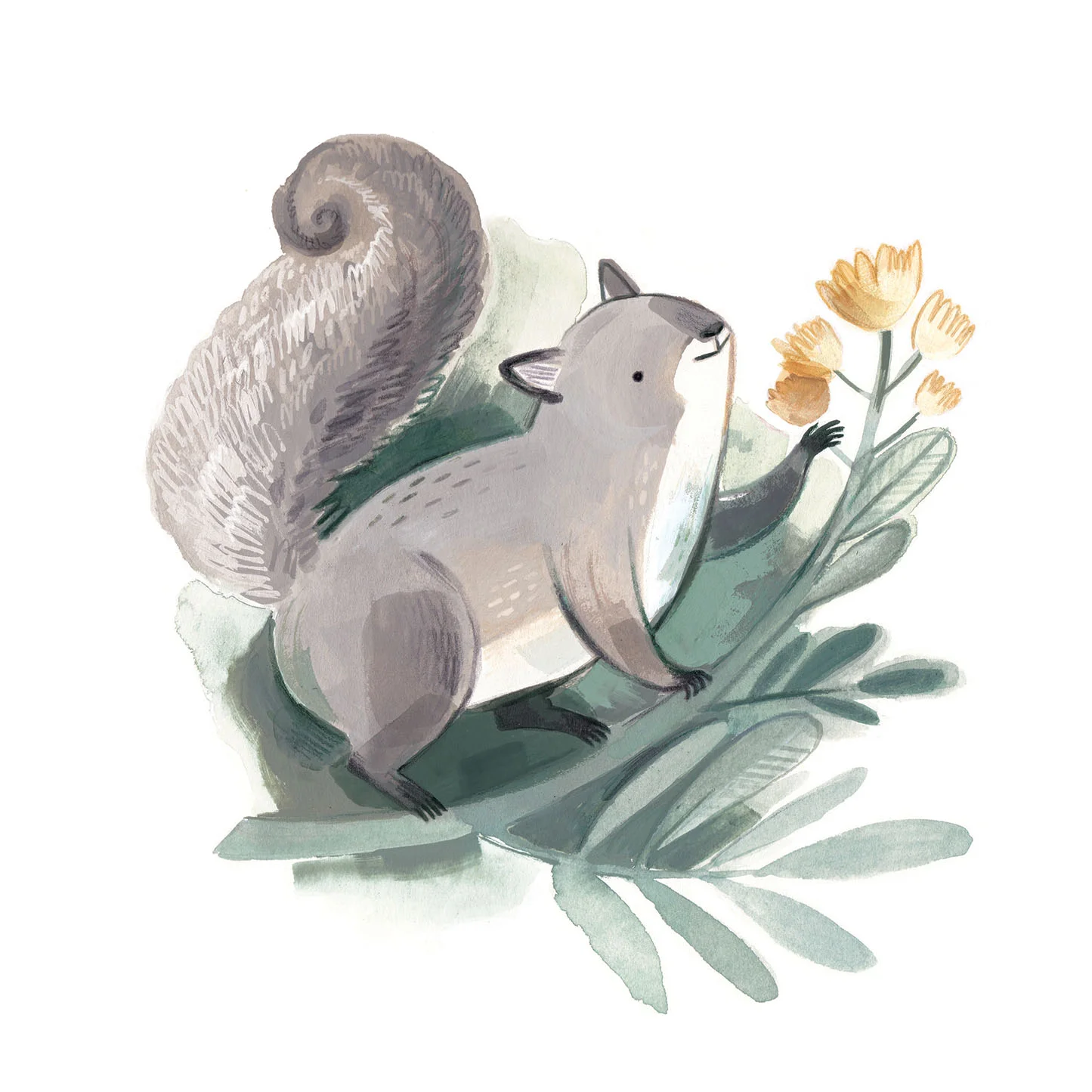Canadian Series - Squirrel - LR.jpg