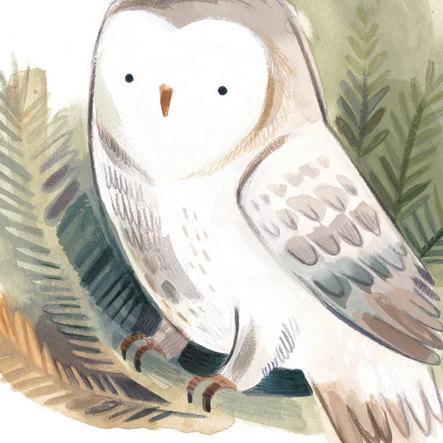 Canadian series- Owl - CU.jpg
