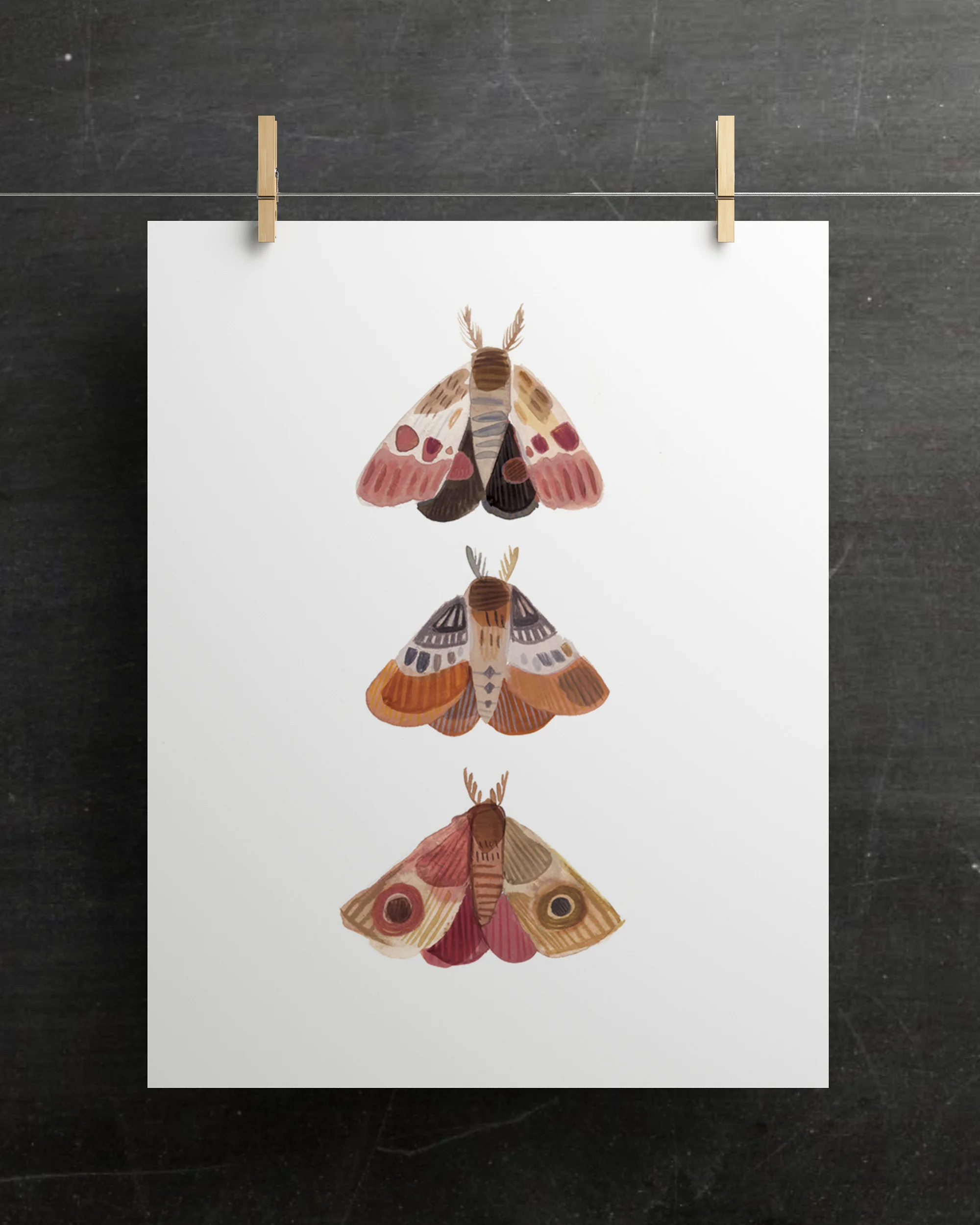 Moth Mock2.jpg