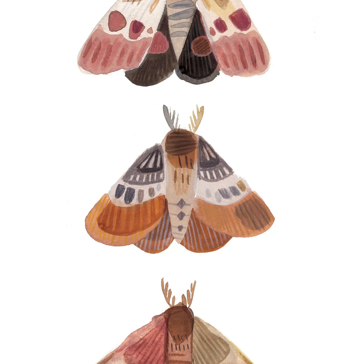 Moths CU.jpg
