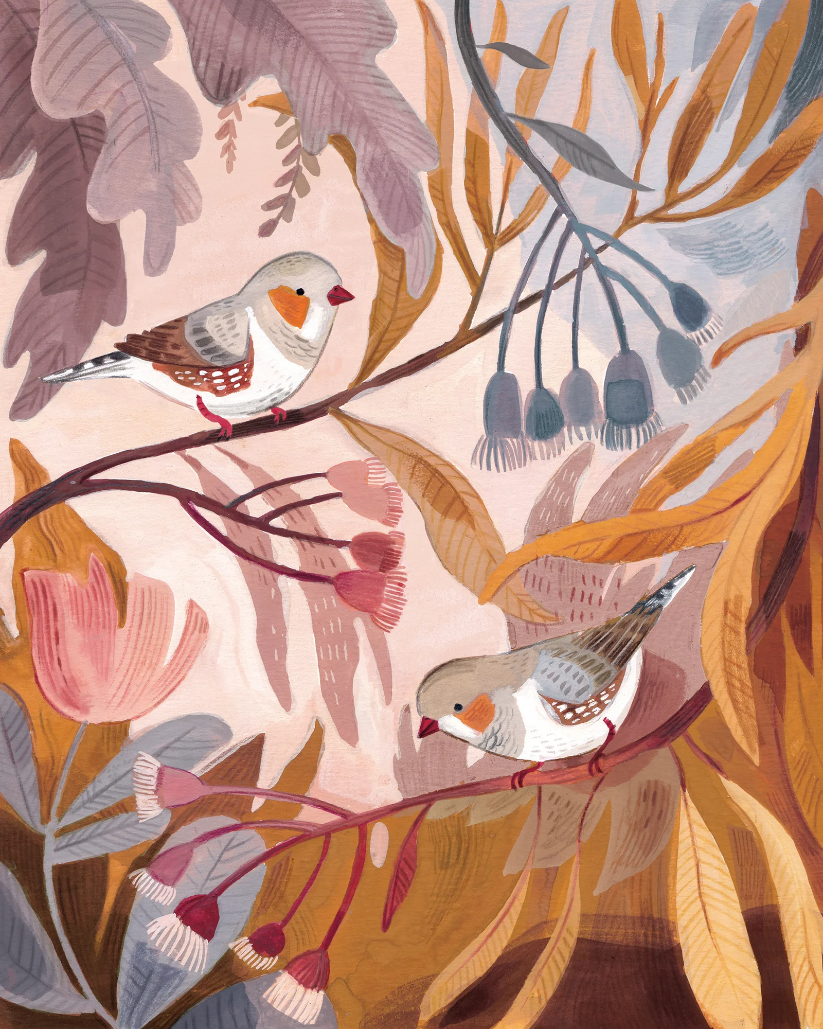 Zebra Finch 1 LR.jpg