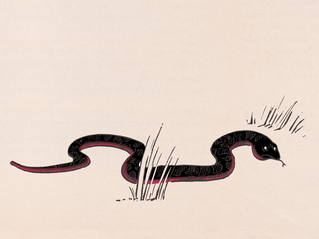 But oh,oh . Here comes Slinky , the most wicked snake in the jungle! The children hiss along with the orchestra, especially the rattling percussion, every time they see the sneaky snake.