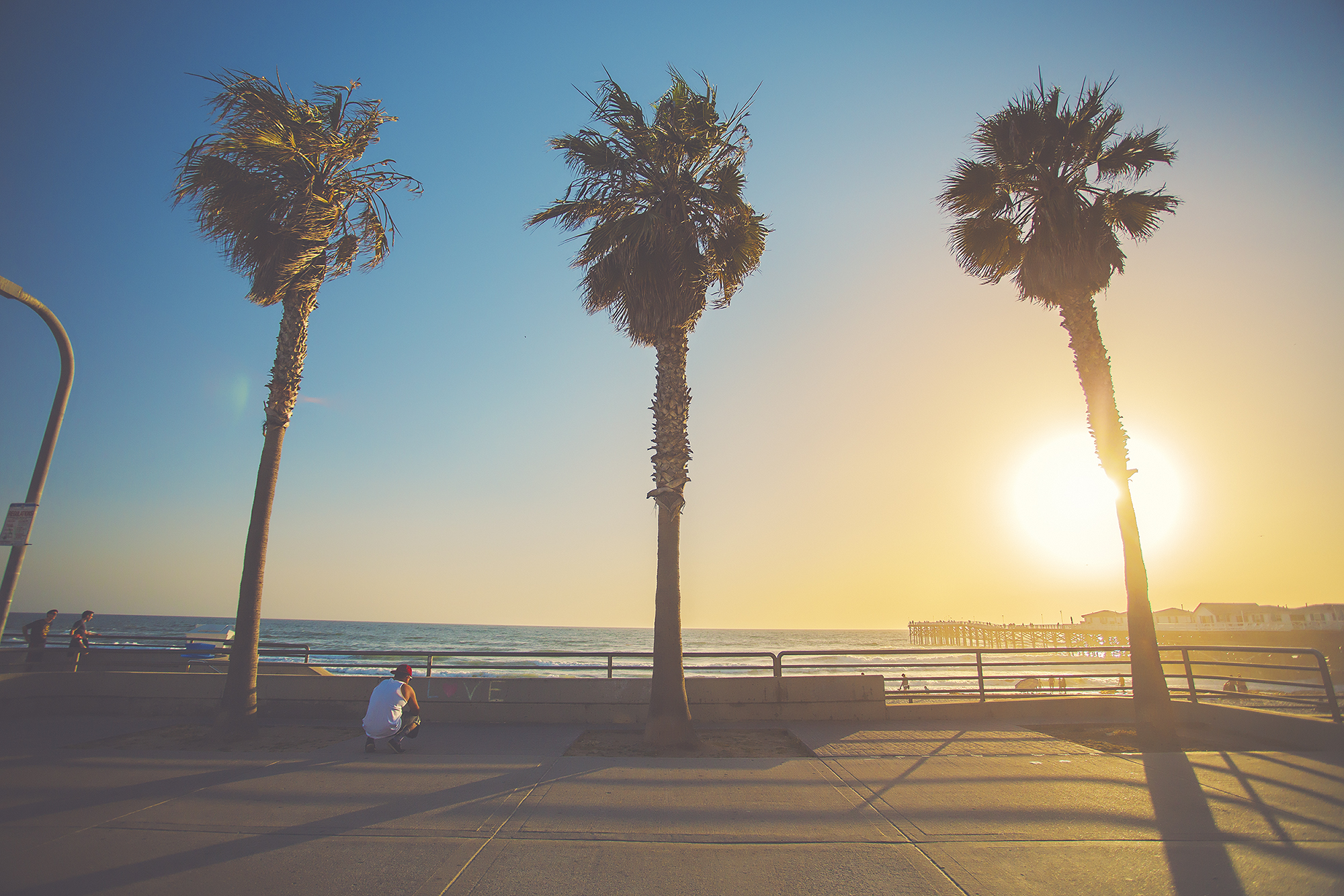 JLRoyal_PacificBeachPalms5.jpg