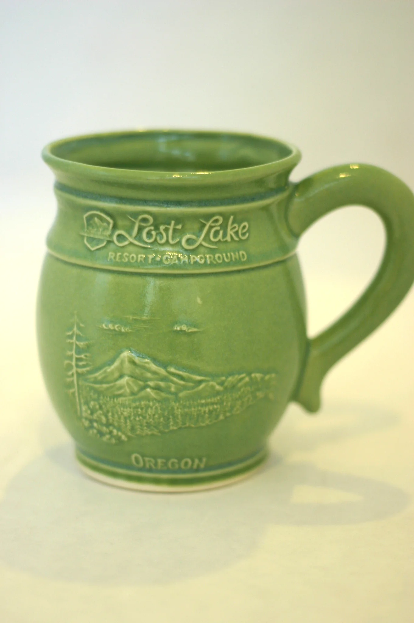 Lost Lake Mug in Green