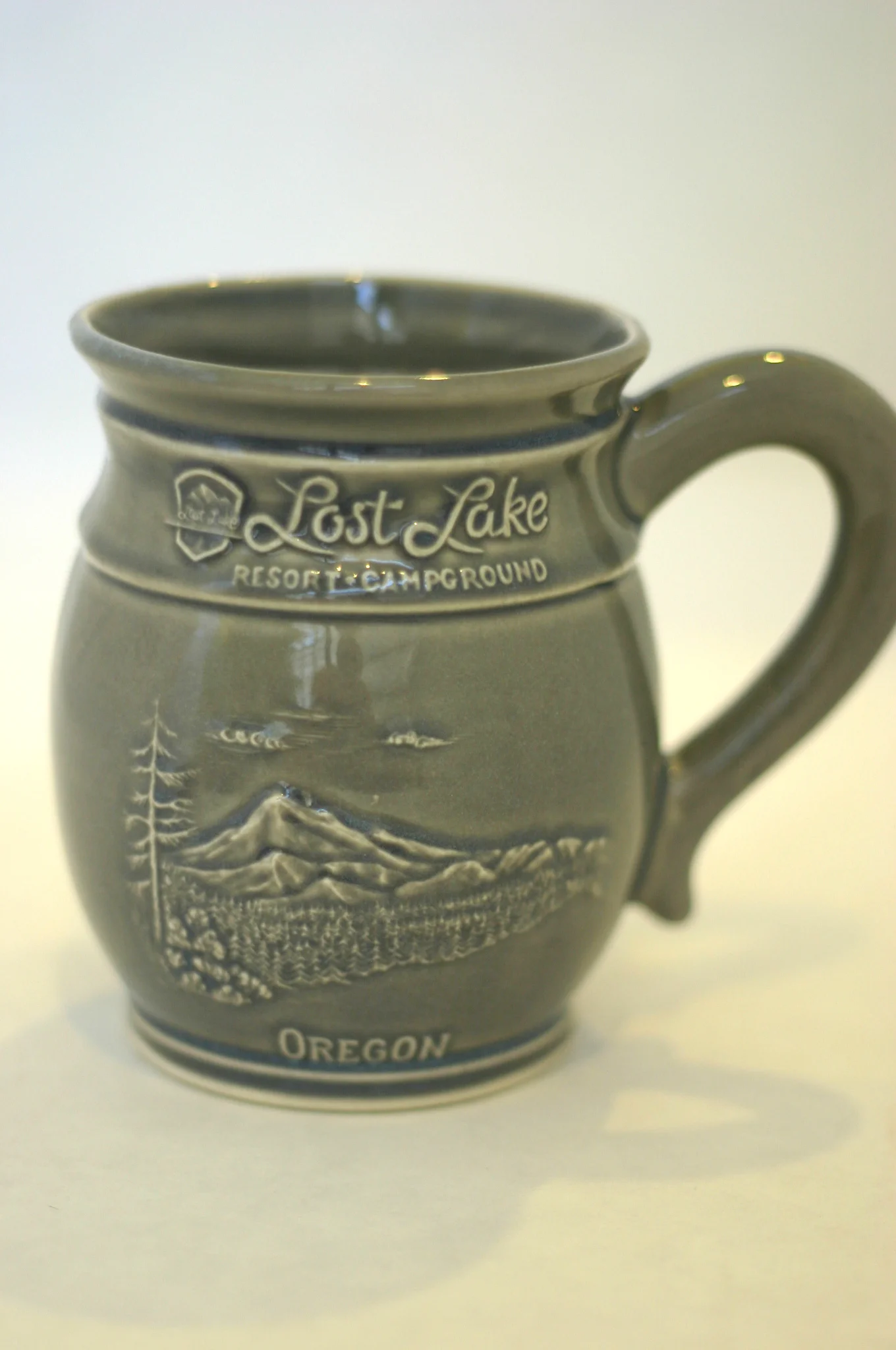 Lost Lake Mug in grey