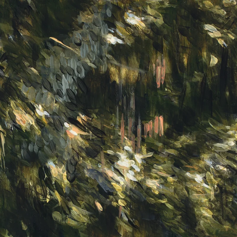The place beyond
