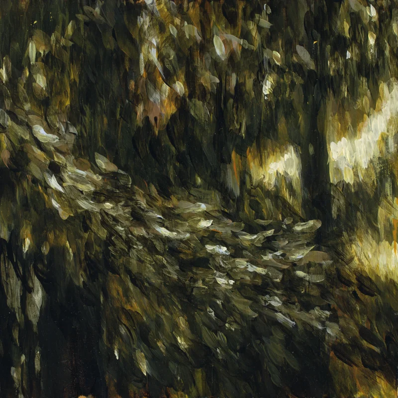 The clearing