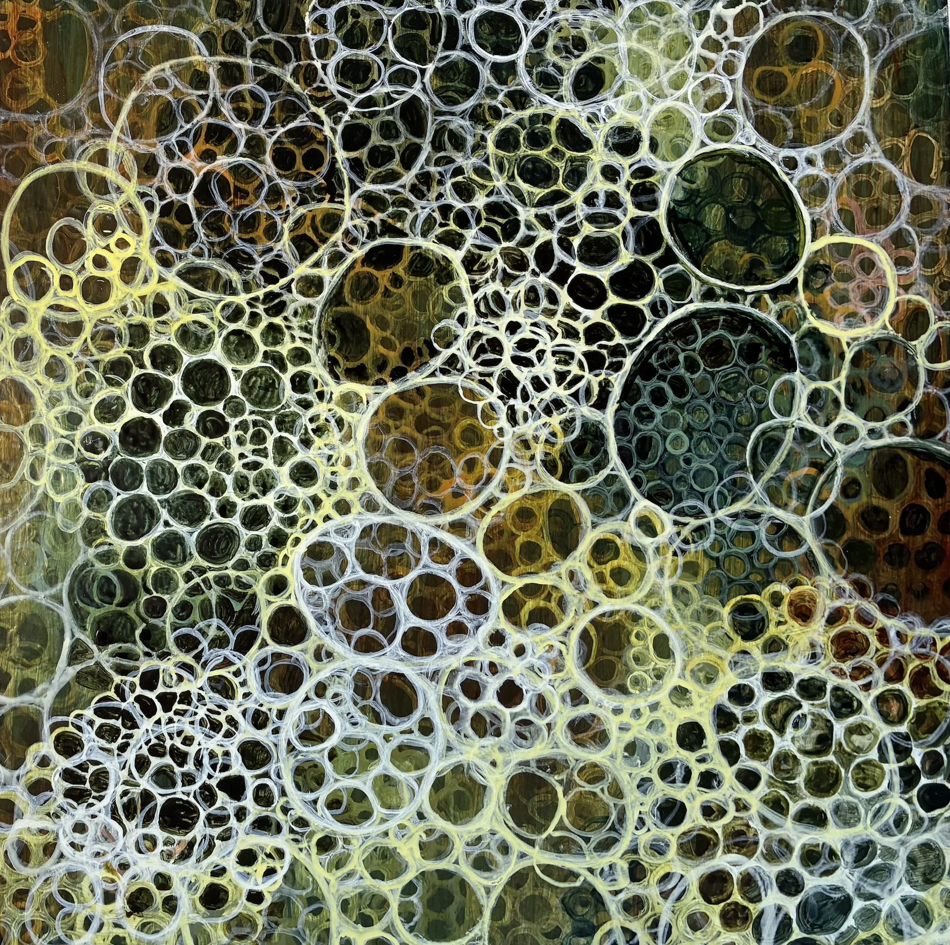 Bubble Study