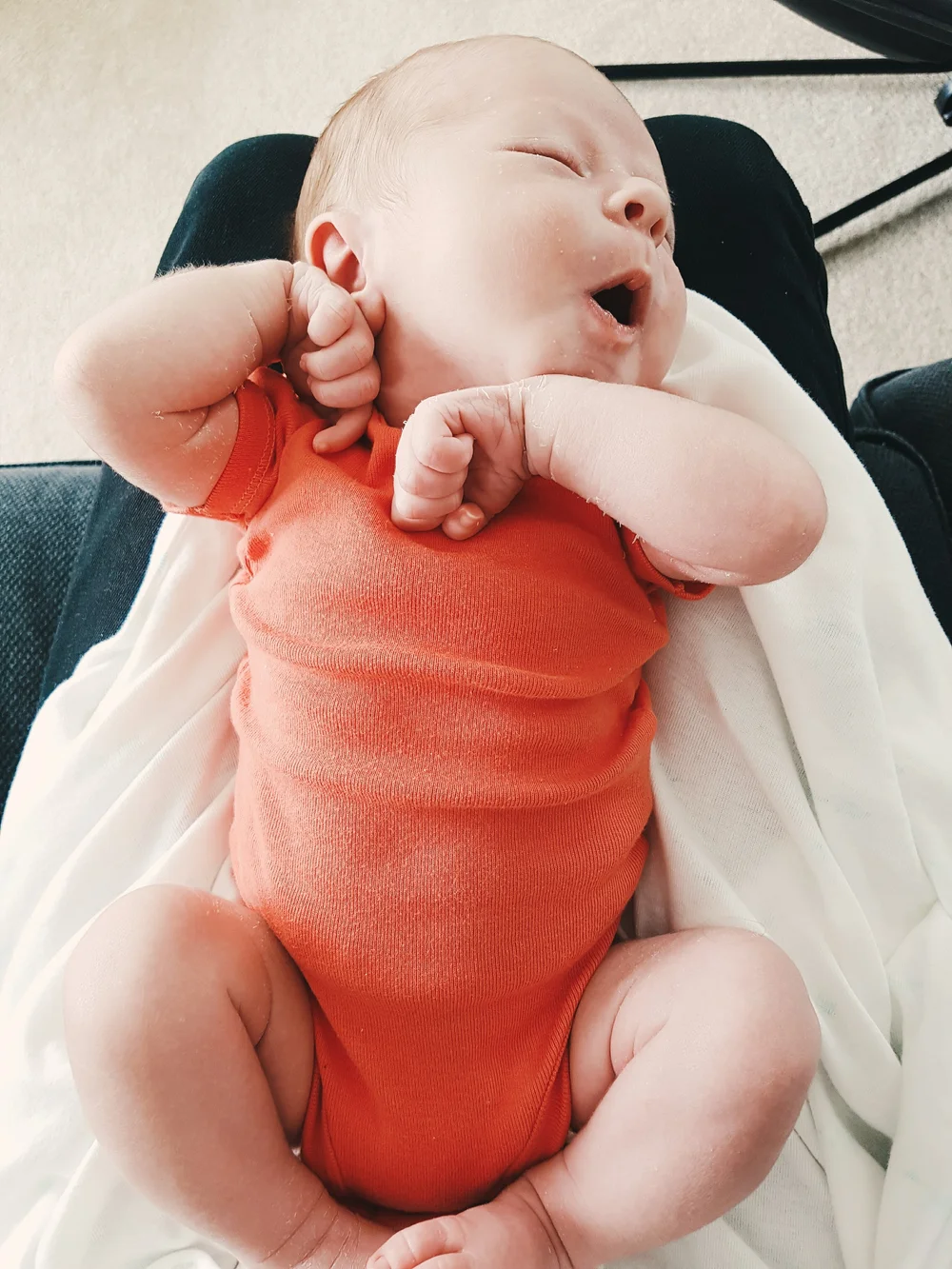 2017-01-26 02.26.49 1_copy.jpg