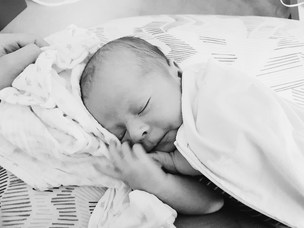 2017-01-19 08.41.09 1.jpg