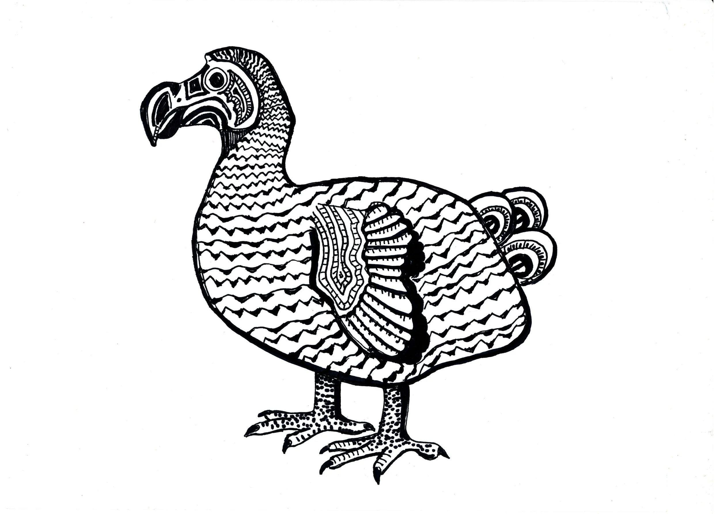 dodo.jpg